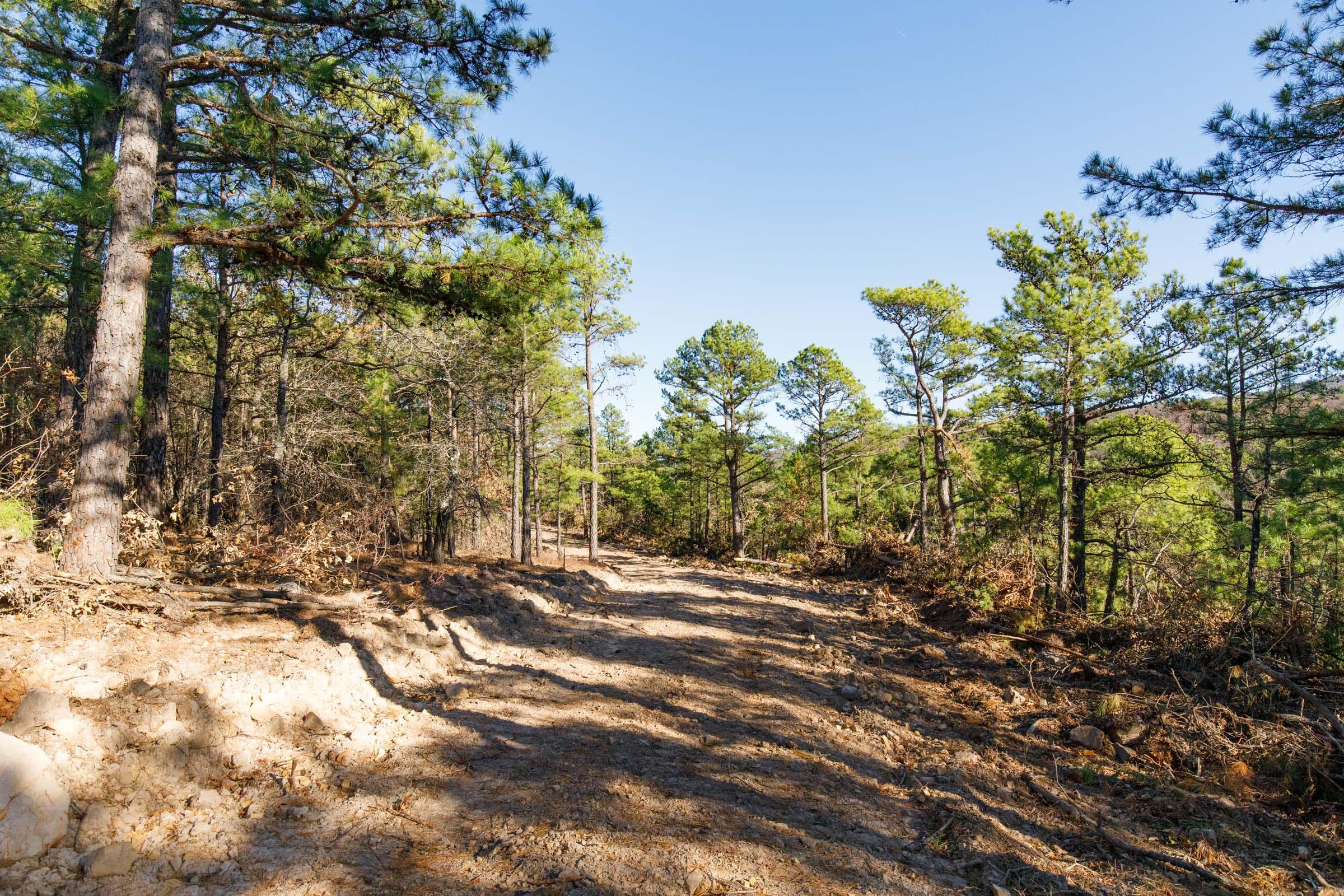 Stone Bridge Phase II Tract 92 photo 5
