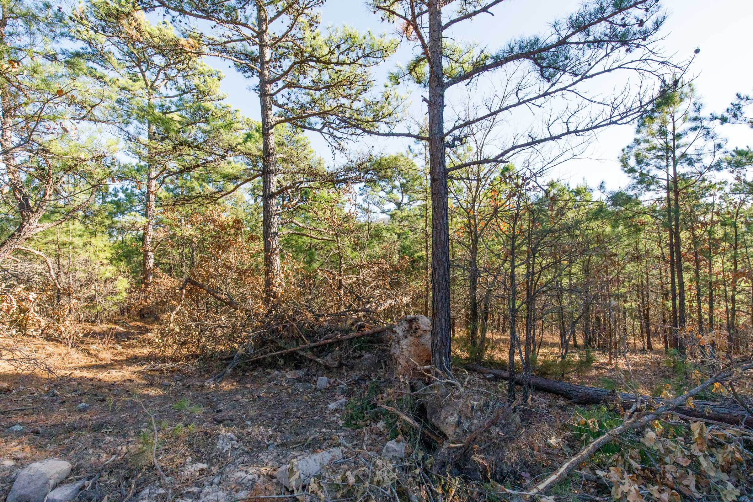 Stone Bridge Phase II Tract 92 photo 7