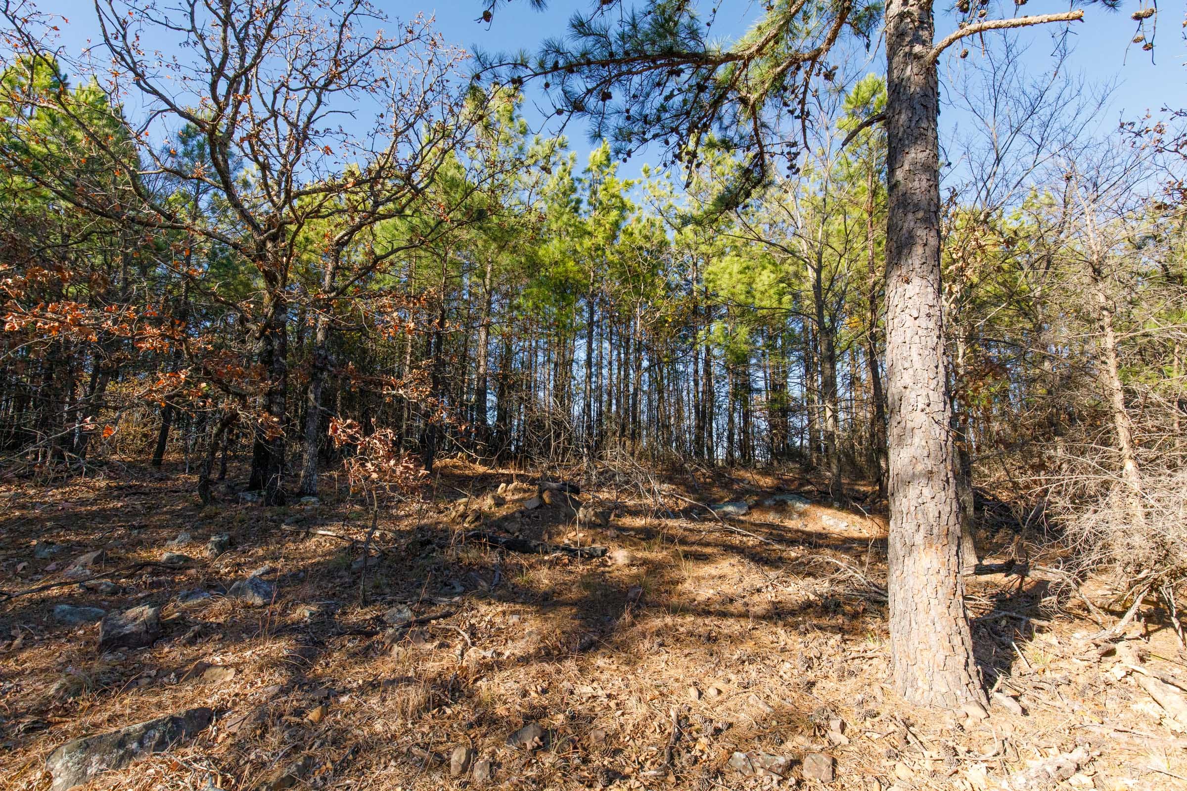 Stone Bridge Phase II Tract 92 photo 8