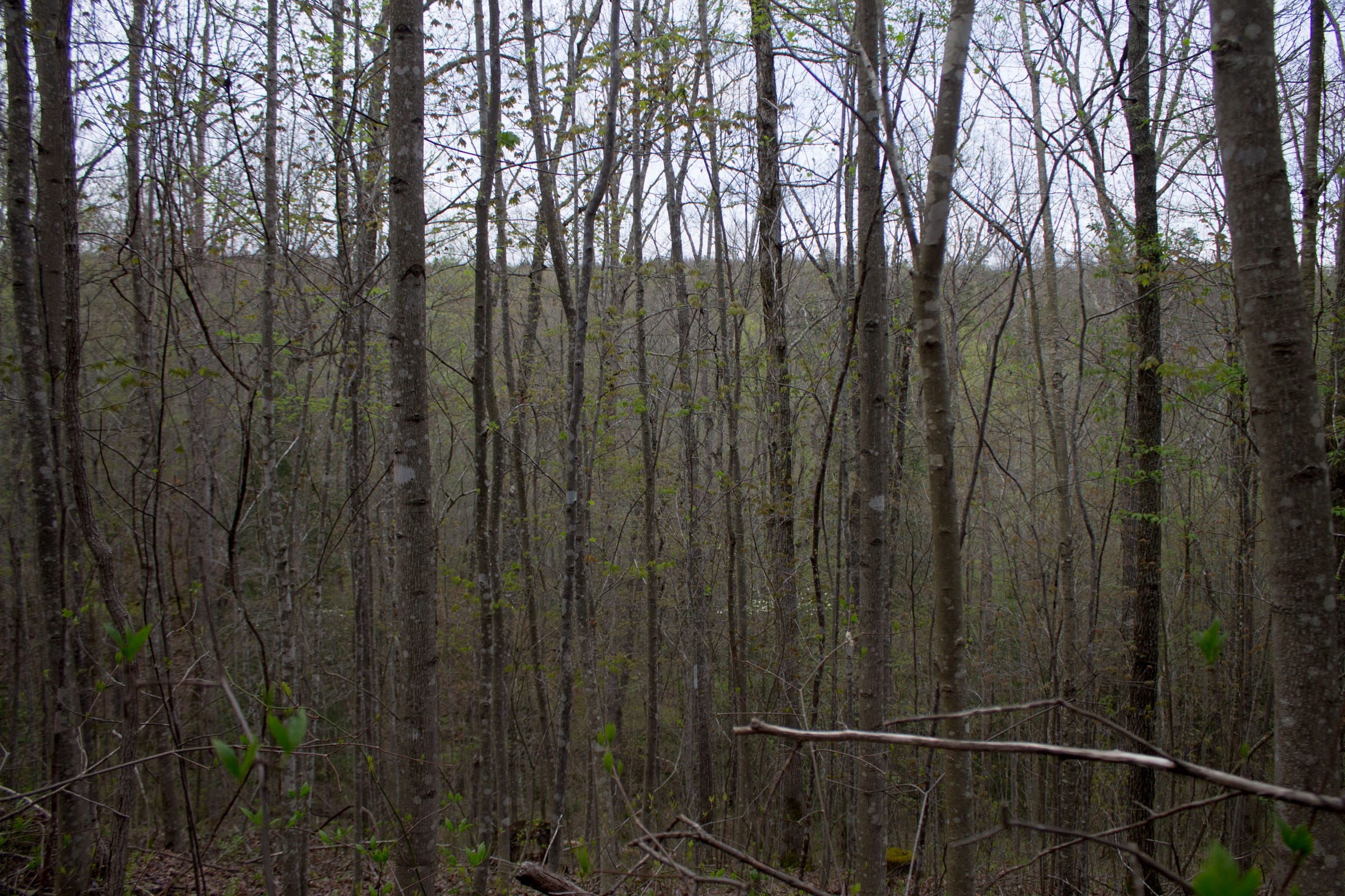 Hidden Hills Tract 48 photo 1