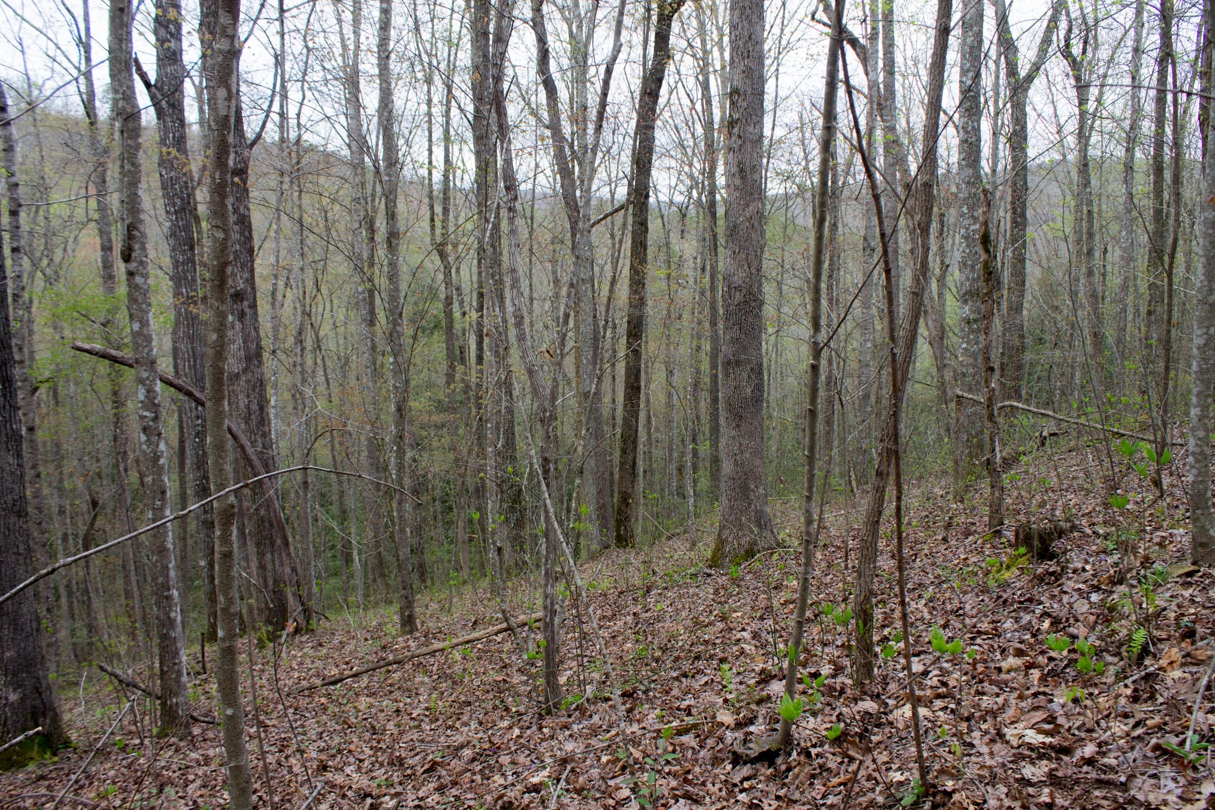 Hidden Hills Tract 48 photo 2