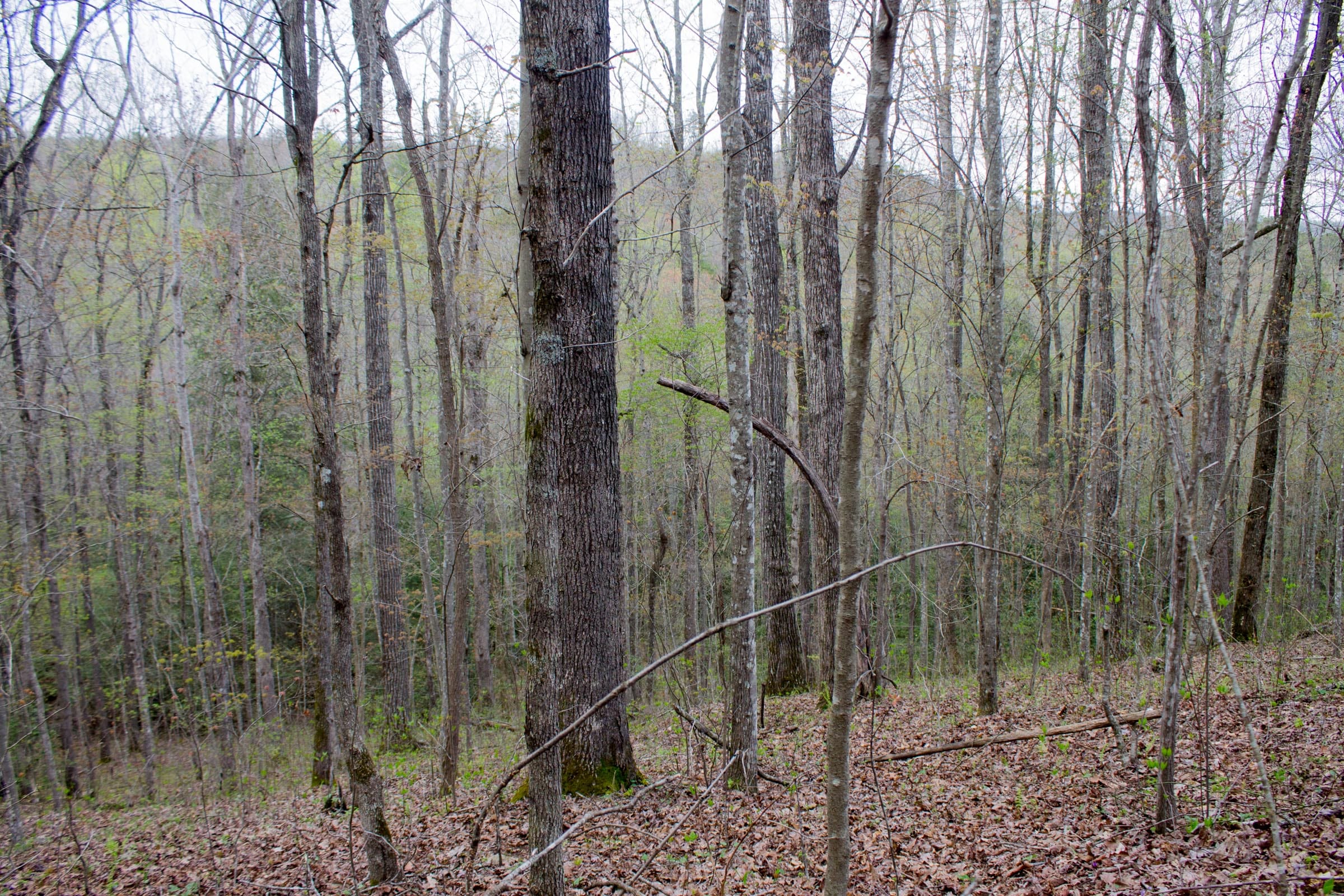 Hidden Hills Tract 48 photo 3
