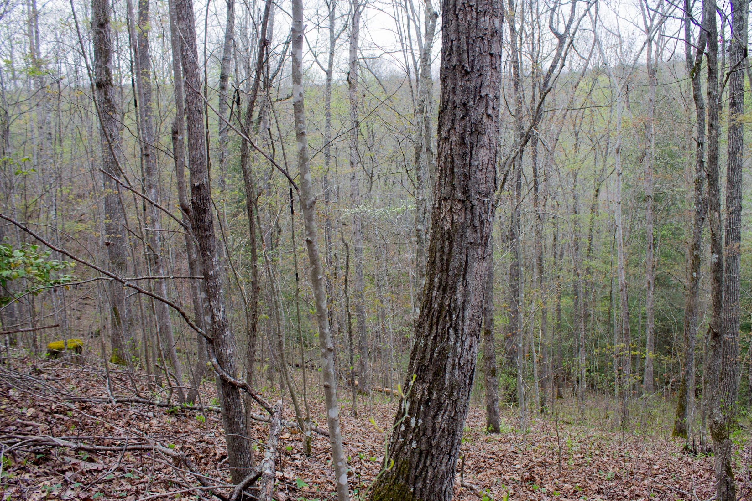 Hidden Hills Tract 48 photo 4