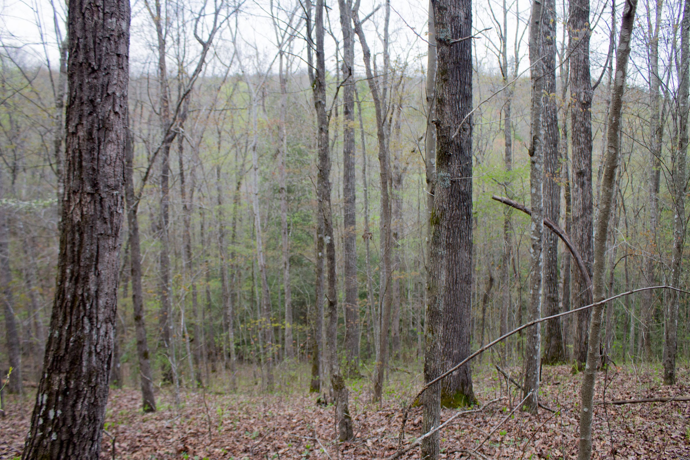 Hidden Hills Tract 48 photo 5