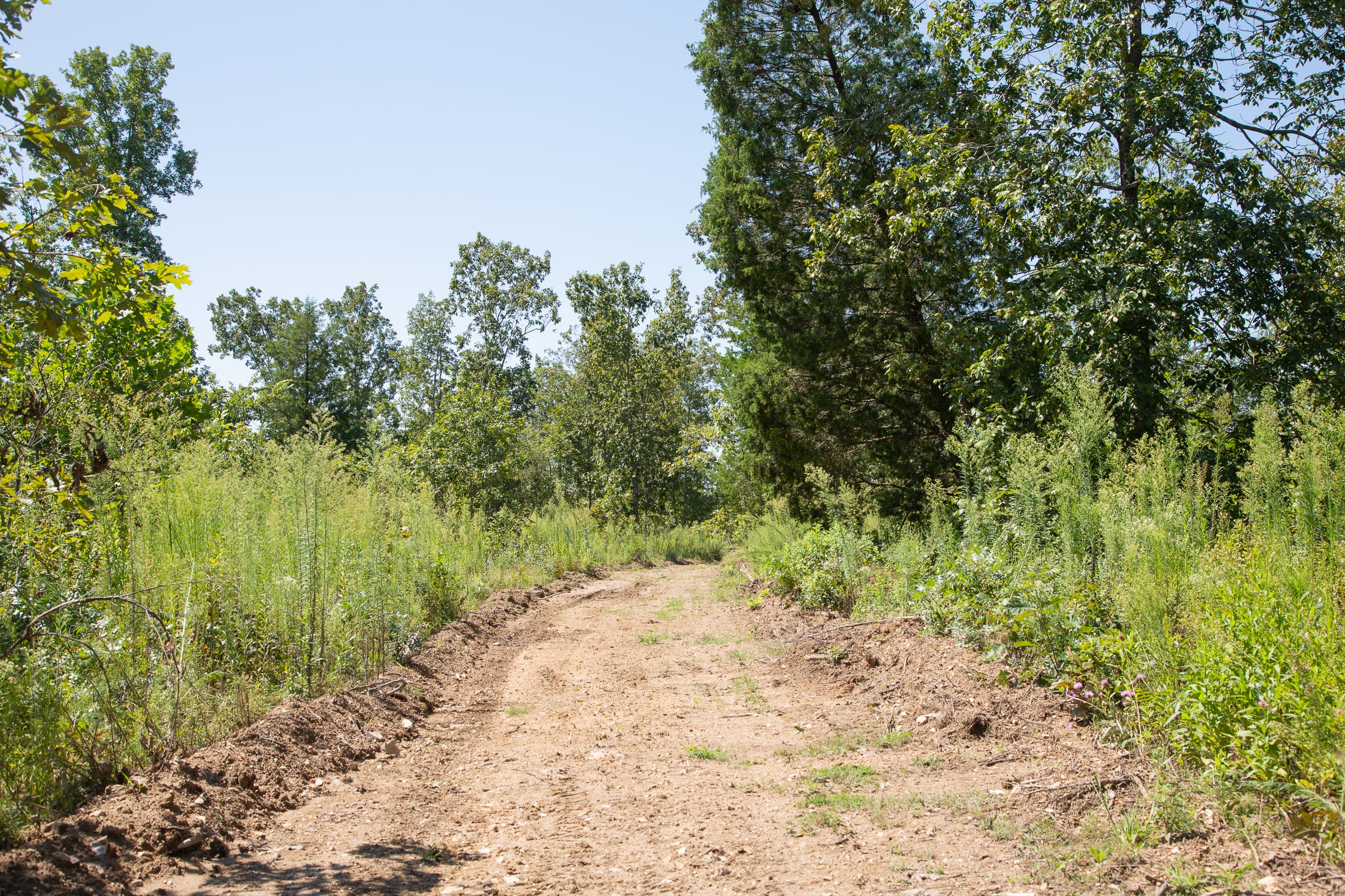 Borgmann’s Hollow Phase III Tract 76 photo 2