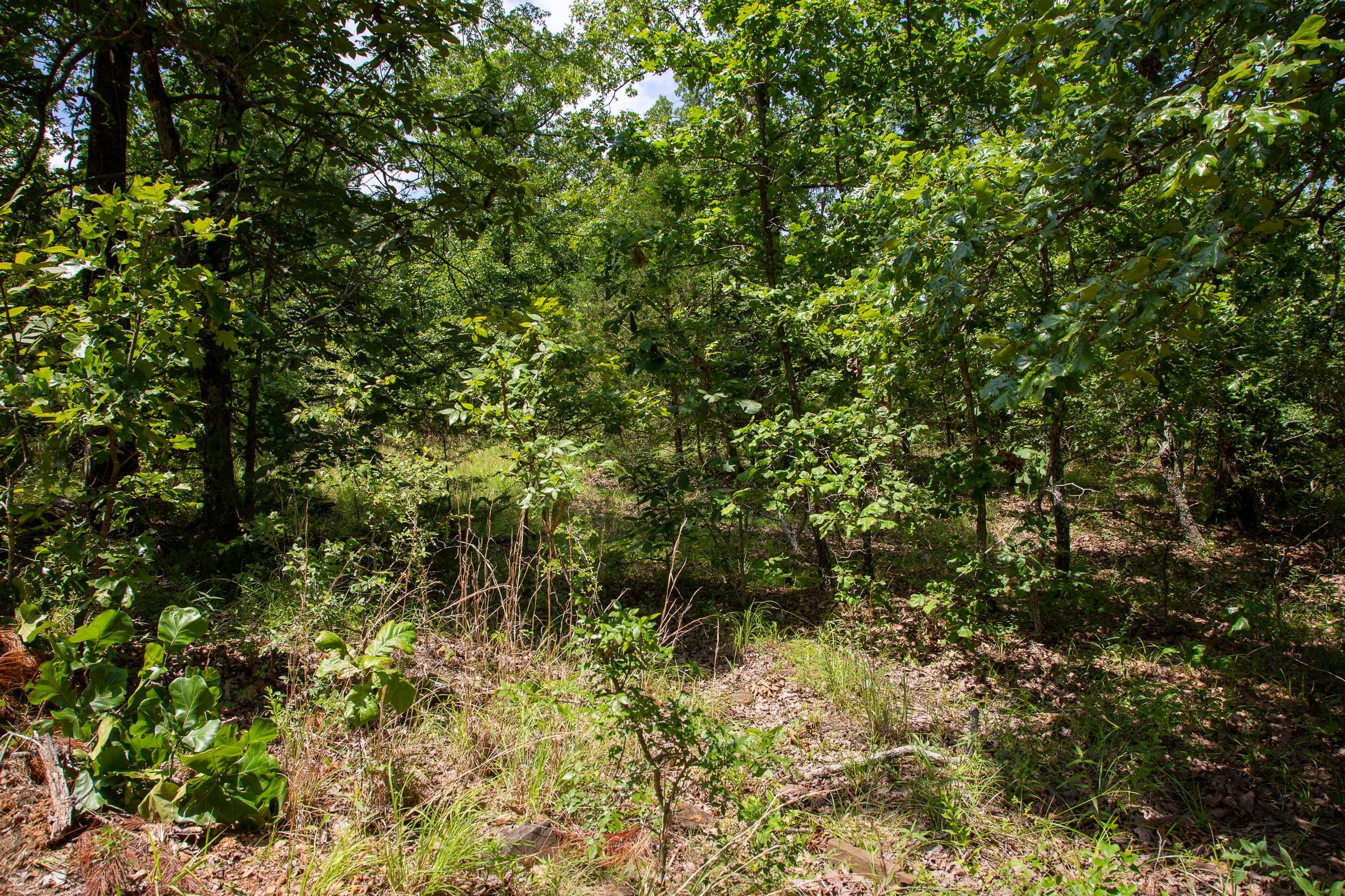 Tyler Stone Ranch Tract 30 photo 2