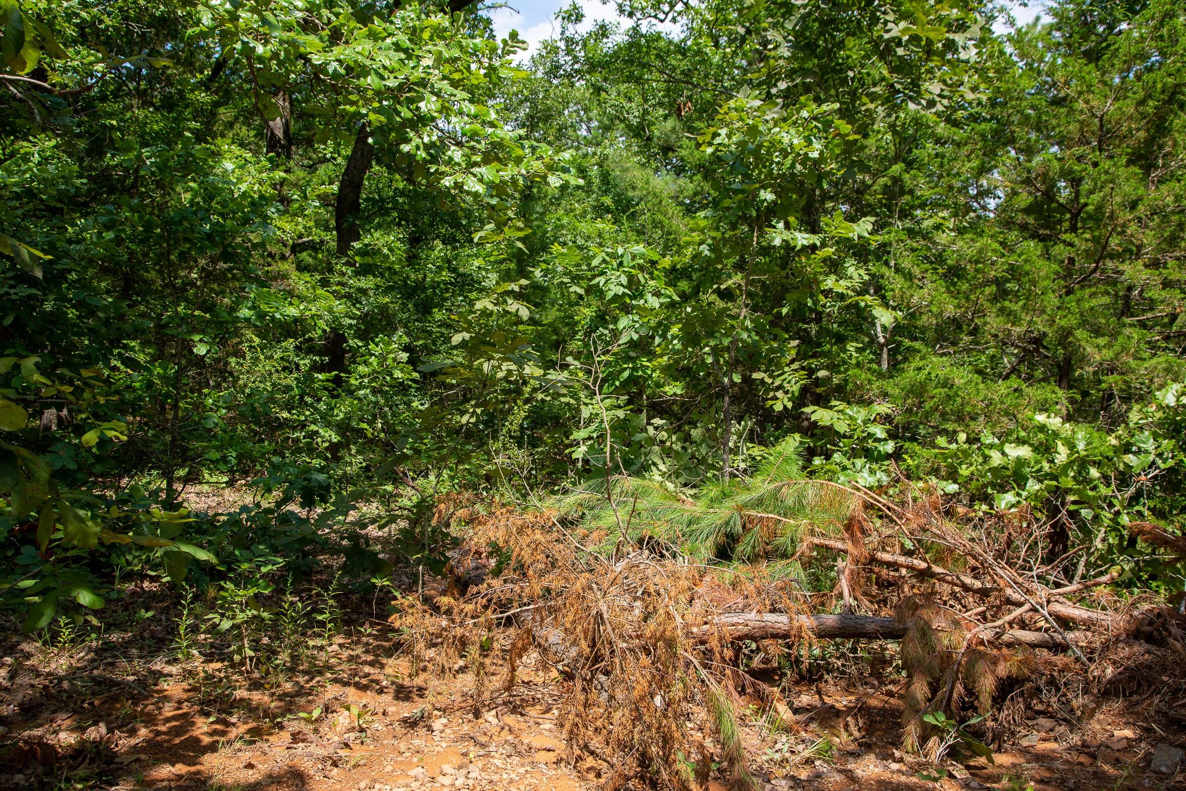 Tyler Stone Ranch Tract 30 photo 3