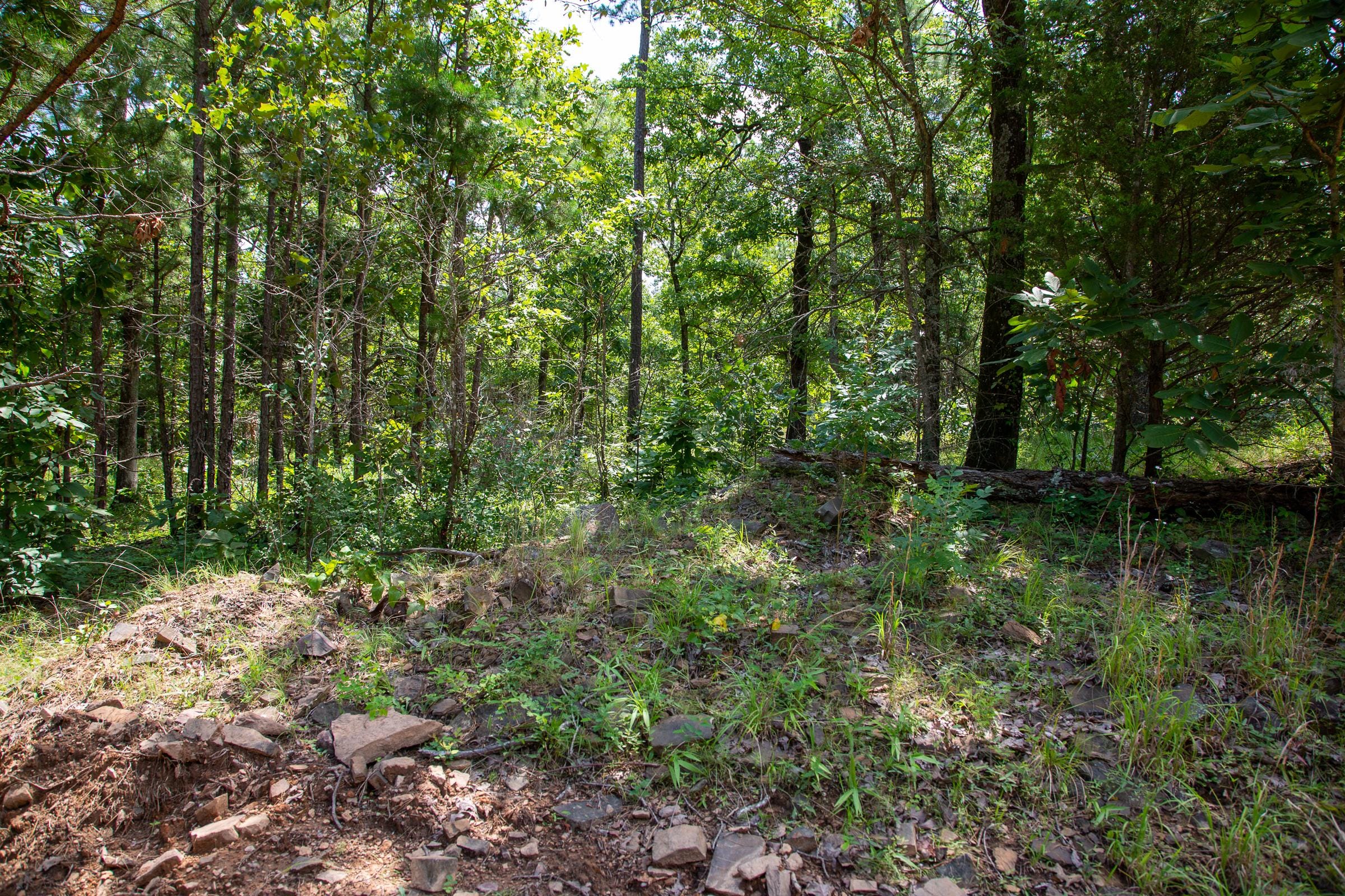 Tyler Stone Ranch Tract 30 photo 6