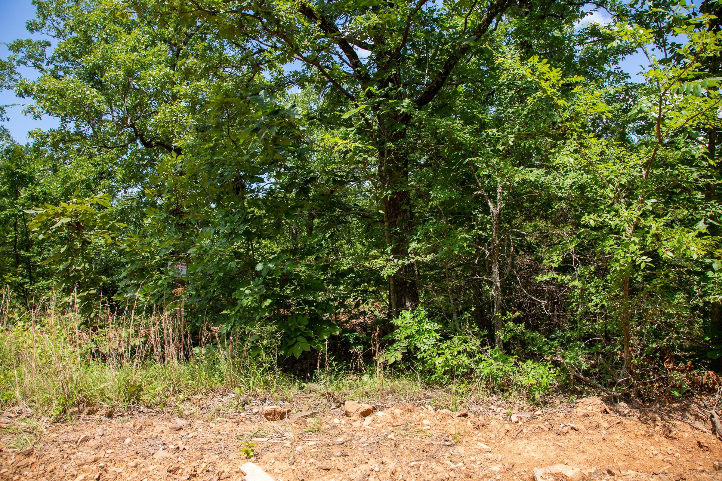 Tyler Stone Ranch Tract 30 photo 7