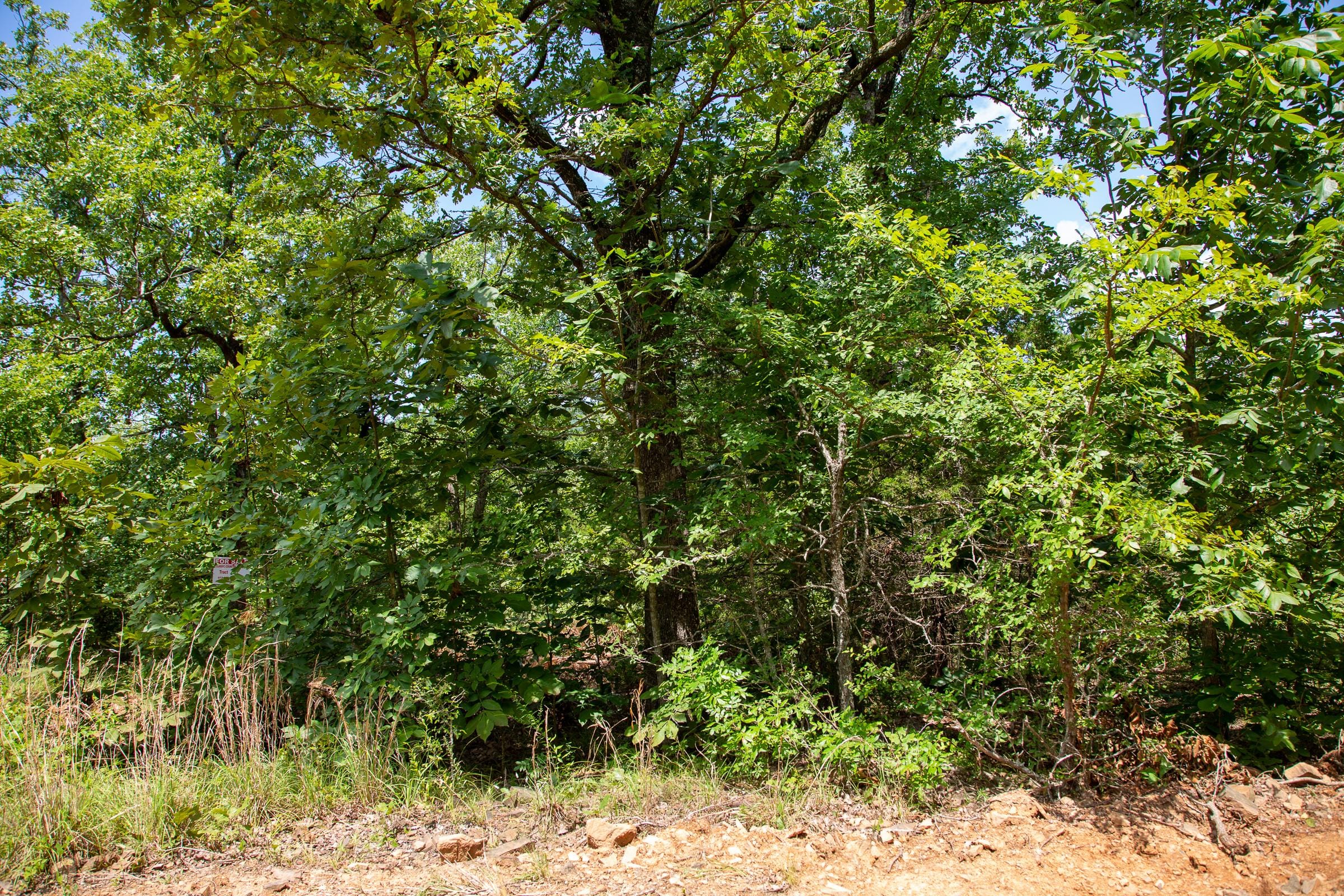 Tyler Stone Ranch Tract 30 photo 8