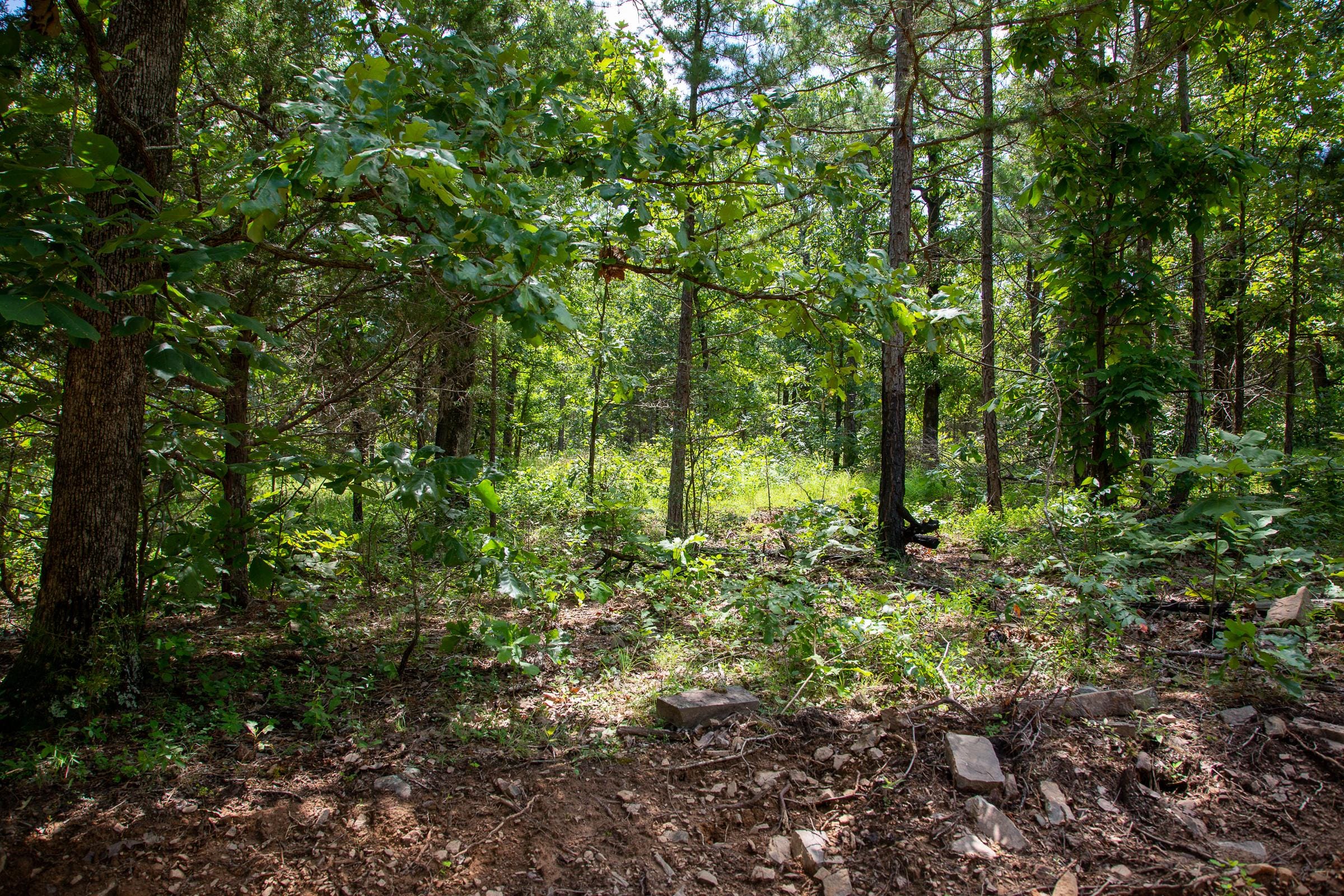 Tyler Stone Ranch Tract 30 photo 9