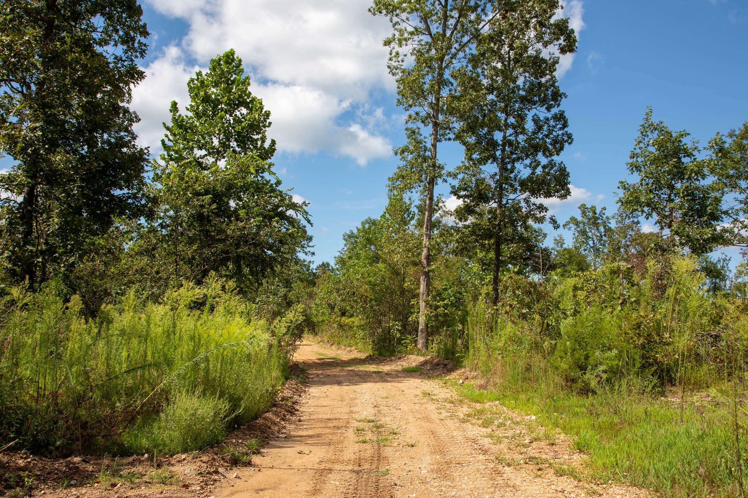 Borgmann’s Hollow Phase II Tract 59 photo 5