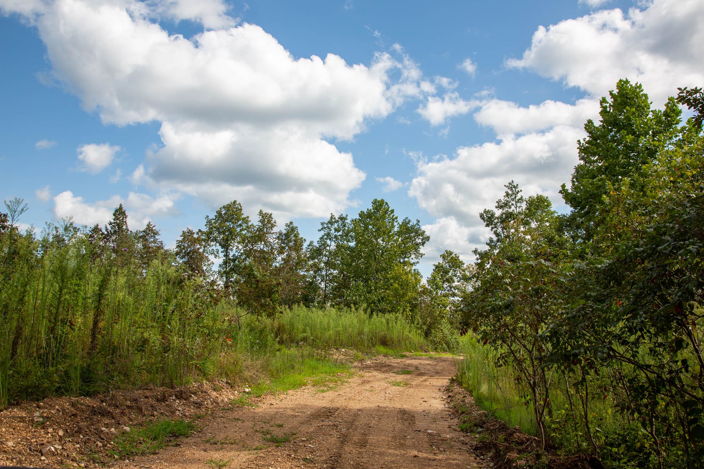 Borgmann’s Hollow Phase II Tract 59 photo 14