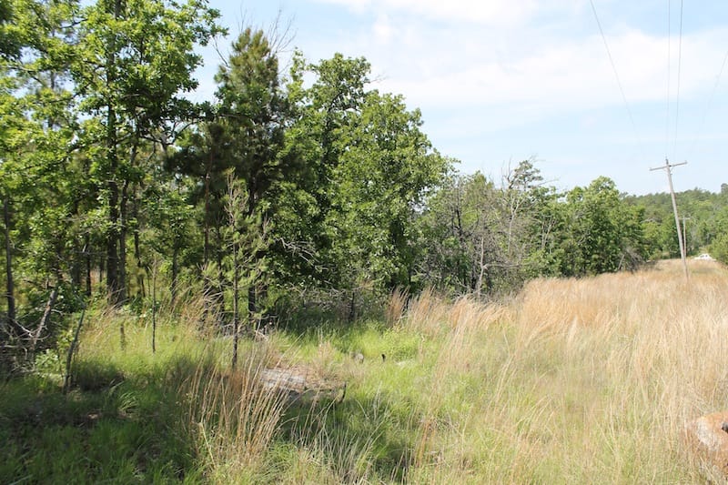 Indian Ridge – Phase II Tract 27 photo 3