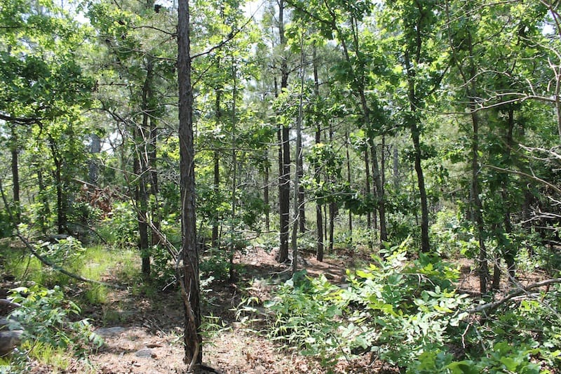 Indian Ridge – Phase II Tract 27 photo 6