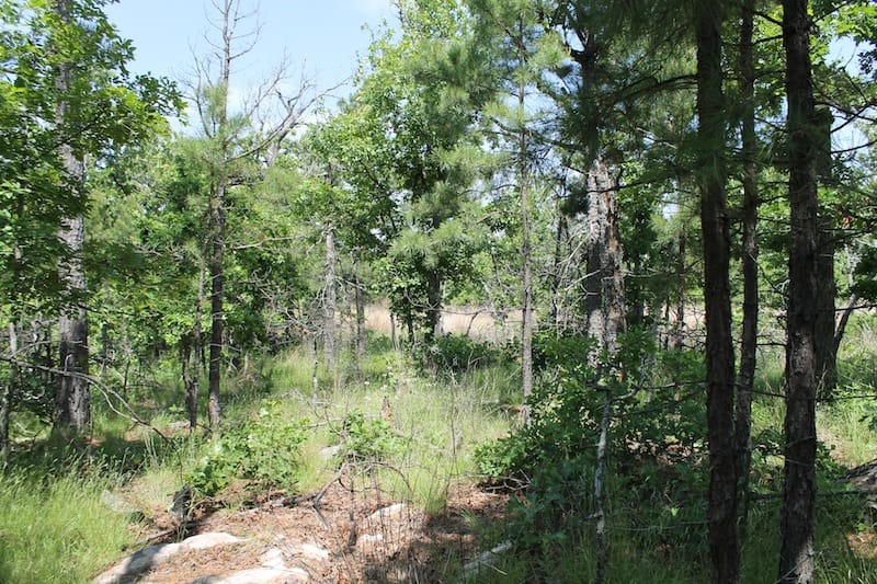 Indian Ridge – Phase II Tract 27 photo 7