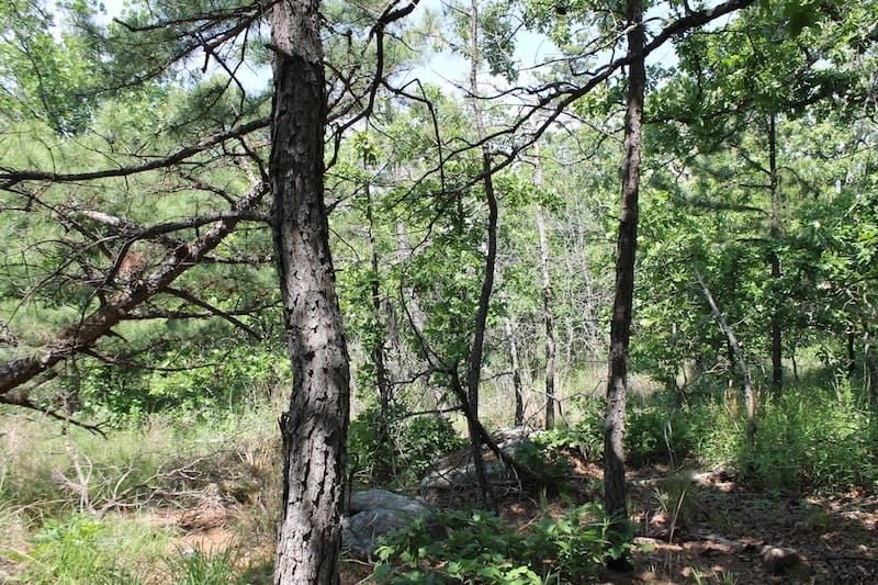 Indian Ridge – Phase II Tract 27 photo 9