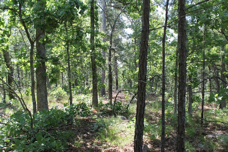 Indian Ridge – Phase II Tract 27 photo 10