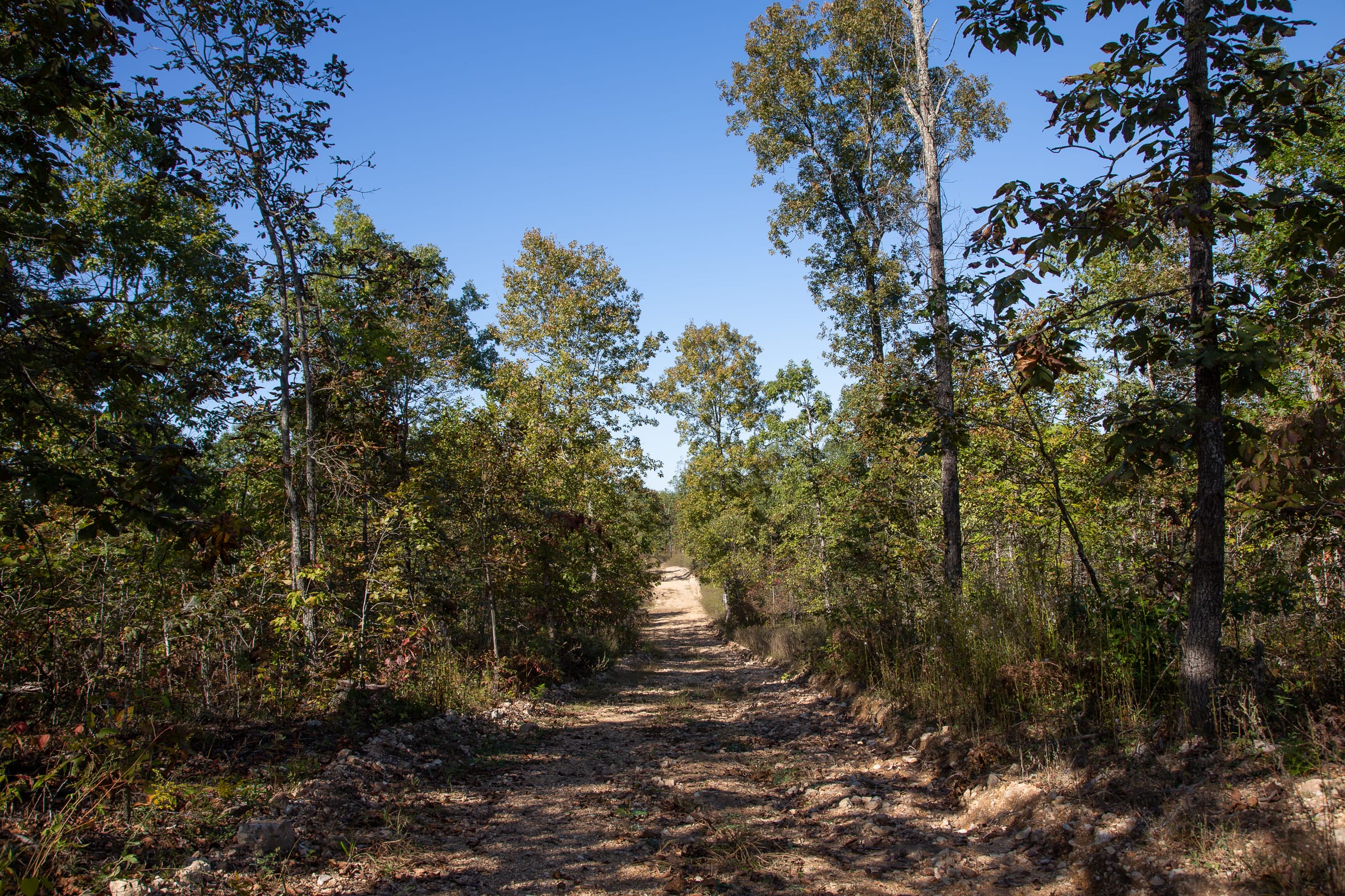 Borgmann’s Hollow Phase IV Tract 109 photo 1