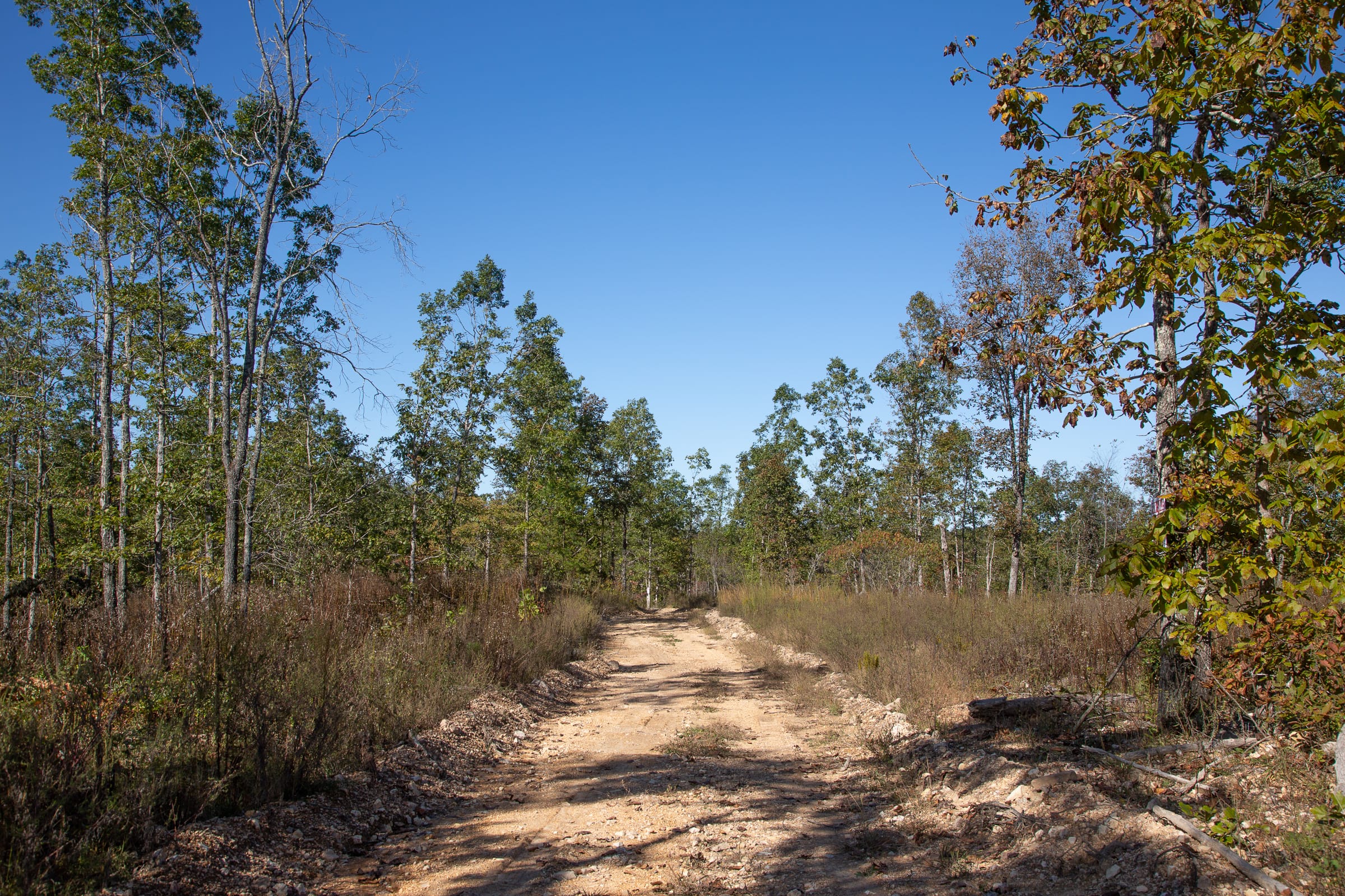 Borgmann’s Hollow Phase IV Tract 109 photo 5