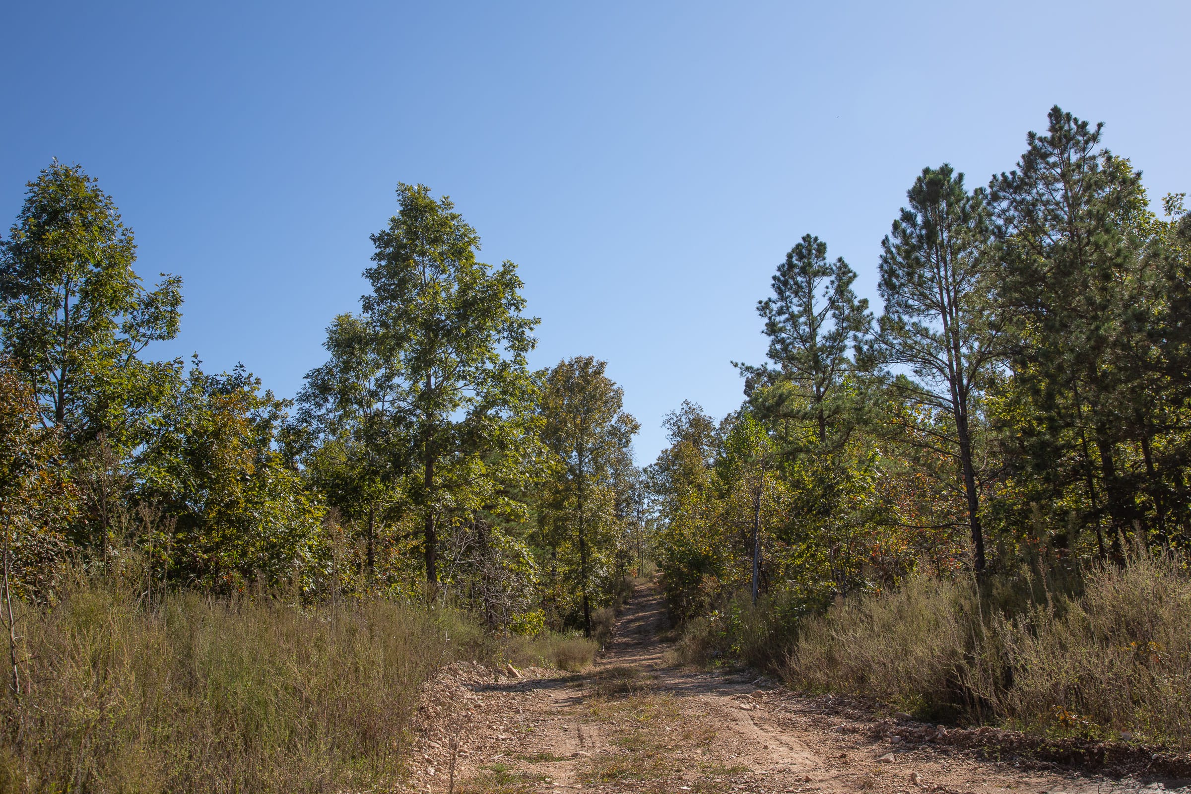 Borgmann’s Hollow Phase IV Tract 109 photo 8