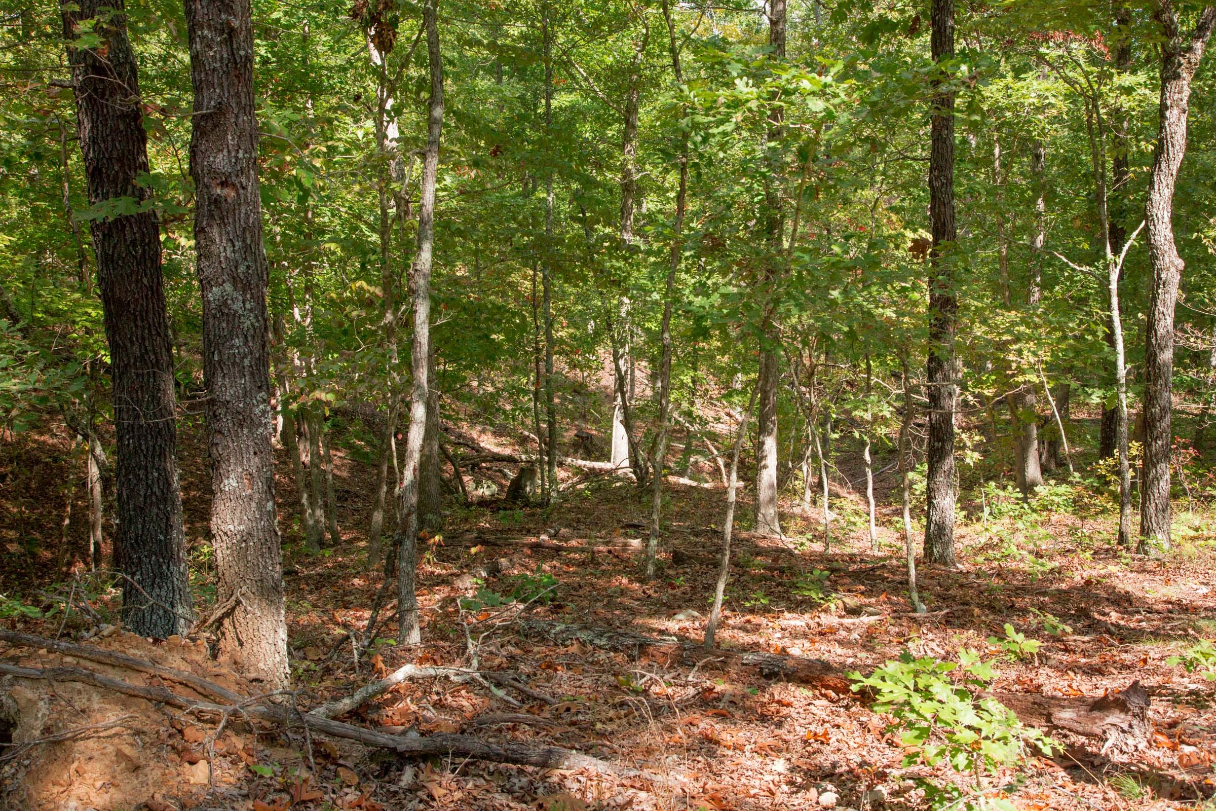 Wagon Wheel Ranch Tract 45 photo 3