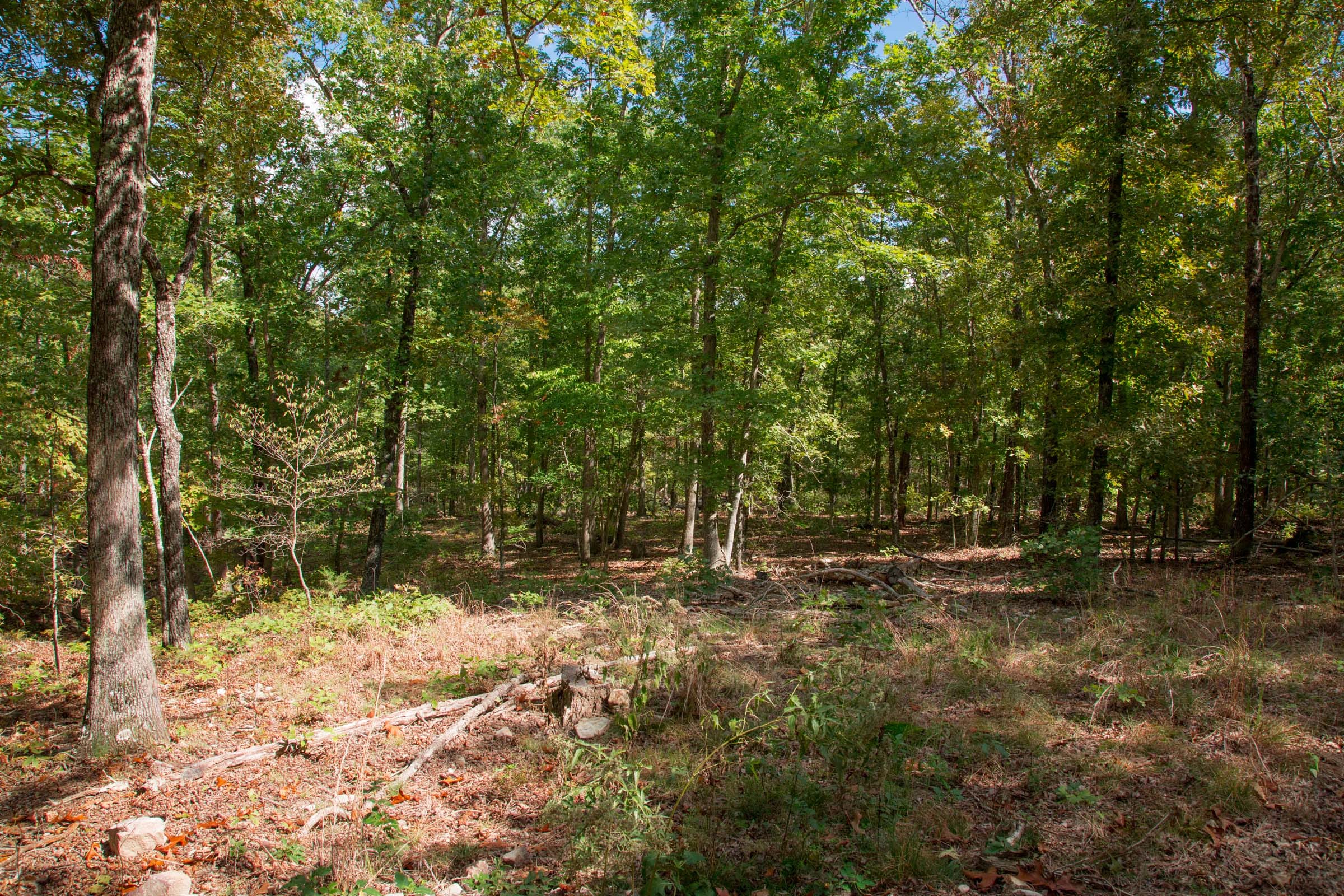 Wagon Wheel Ranch Tract 45 photo 4