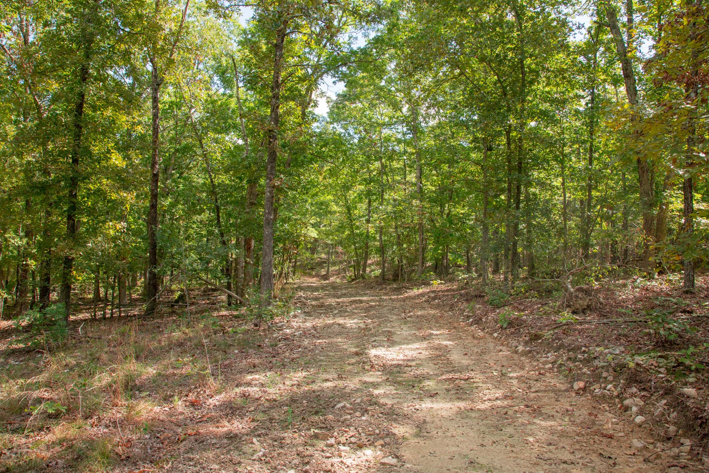 Wagon Wheel Ranch Tract 45 photo 2
