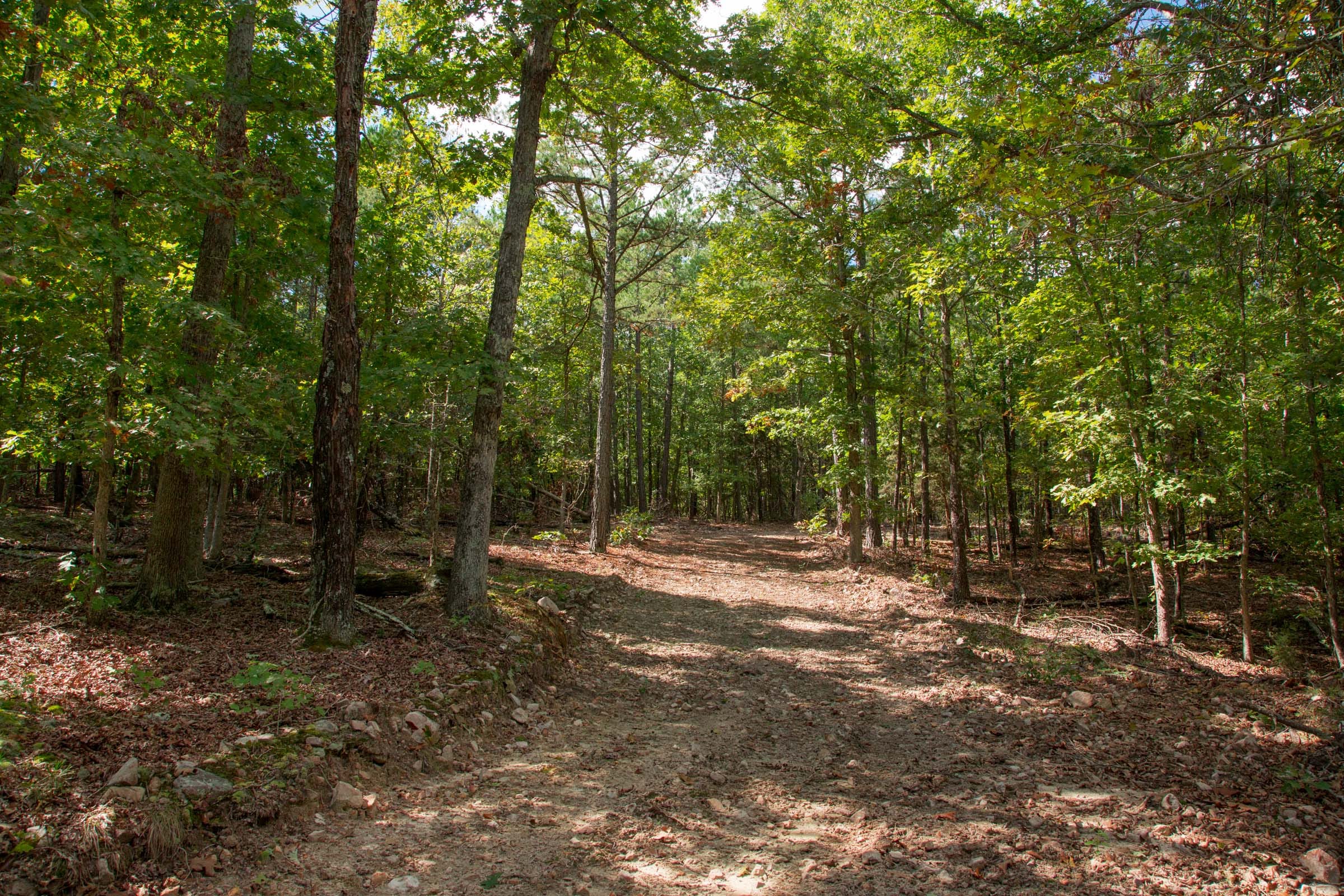 Wagon Wheel Ranch Tract 45 photo 5