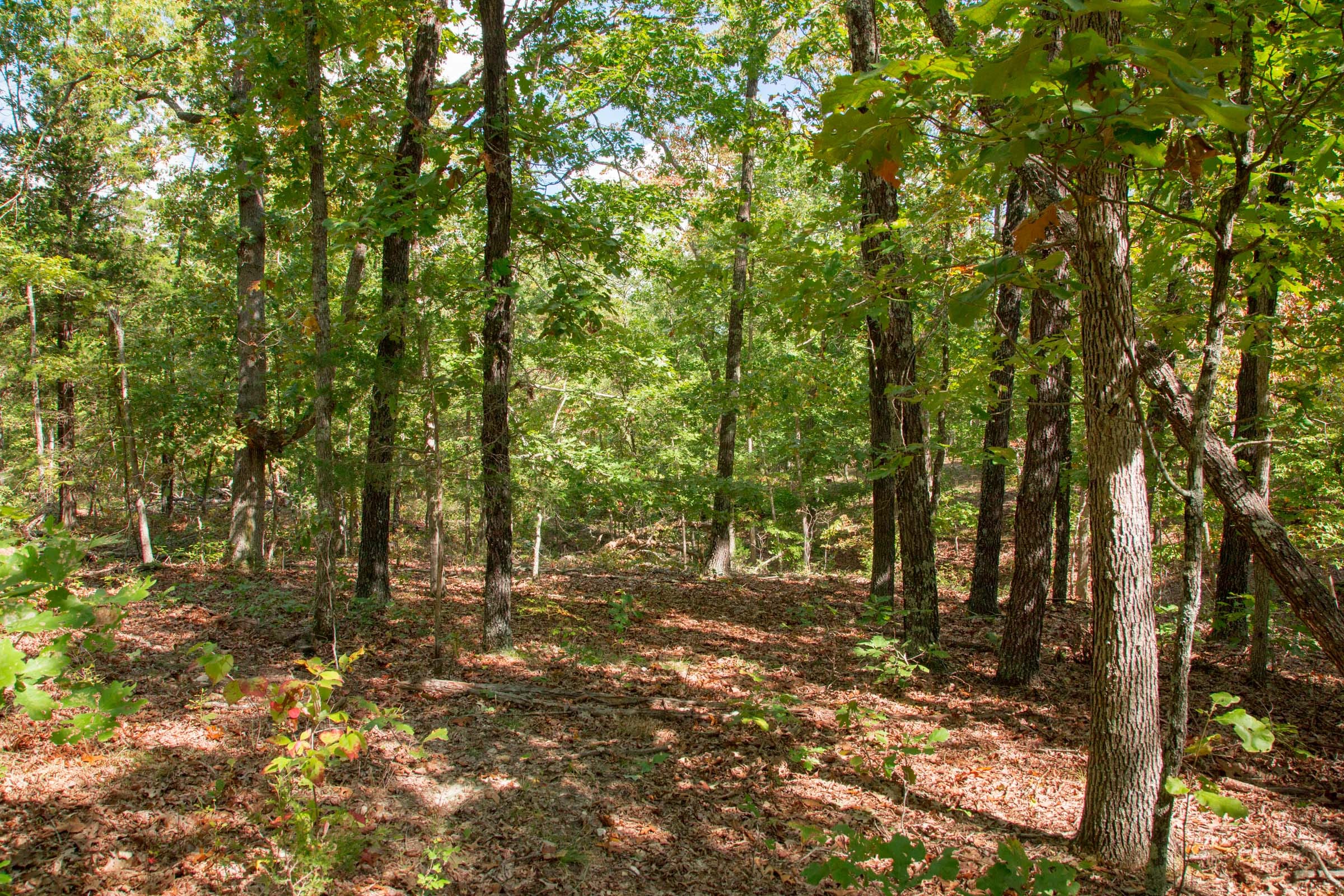 Wagon Wheel Ranch Tract 45 photo 1