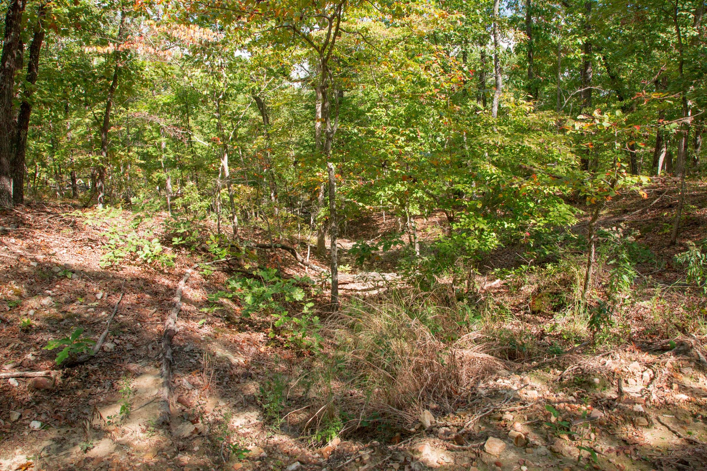 Wagon Wheel Ranch Tract 45 photo 10