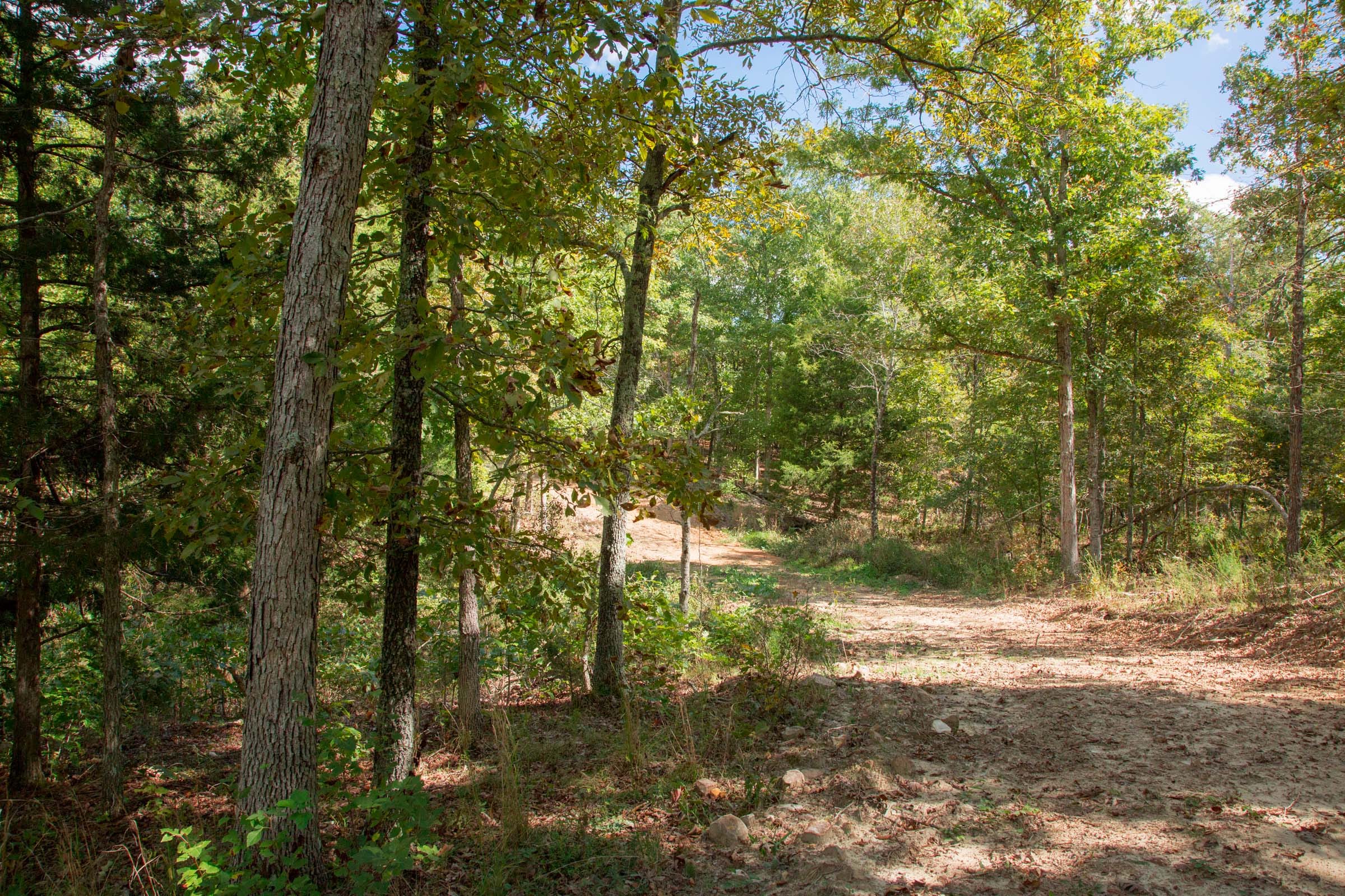 Wagon Wheel Ranch Tract 45 photo 14