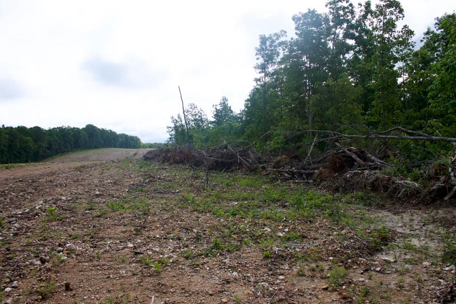 Thunder Mountain Ranch Tract 18 photo 2