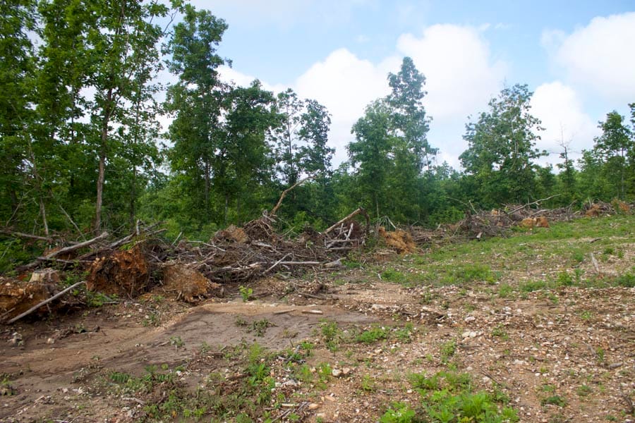Thunder Mountain Ranch Tract 18 photo 3