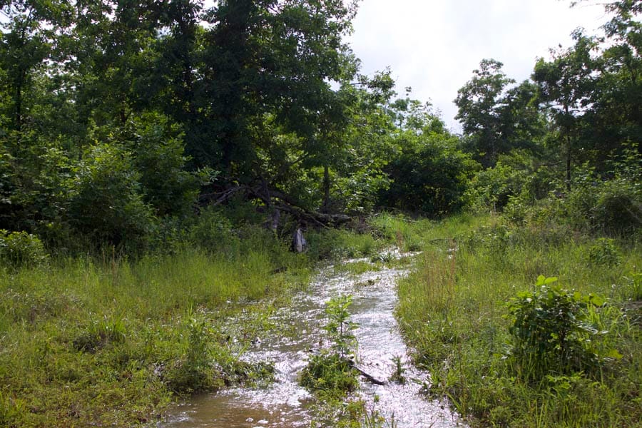Thunder Mountain Ranch Tract 18 photo 4