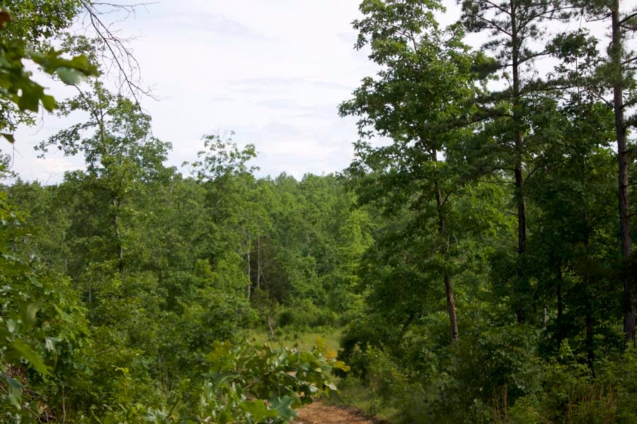 Thunder Mountain Ranch Tract 18 photo 6