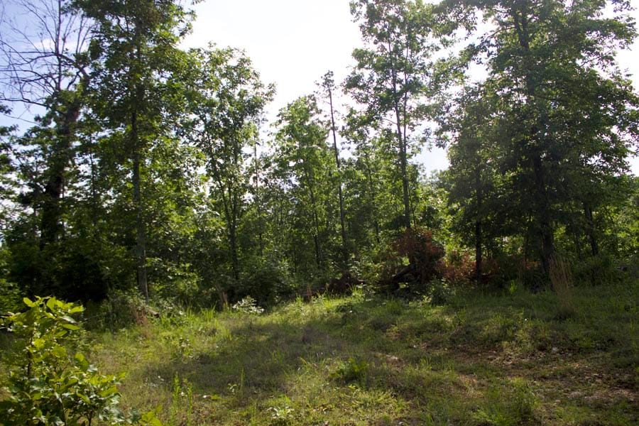 Thunder Mountain Ranch Tract 18 photo 11