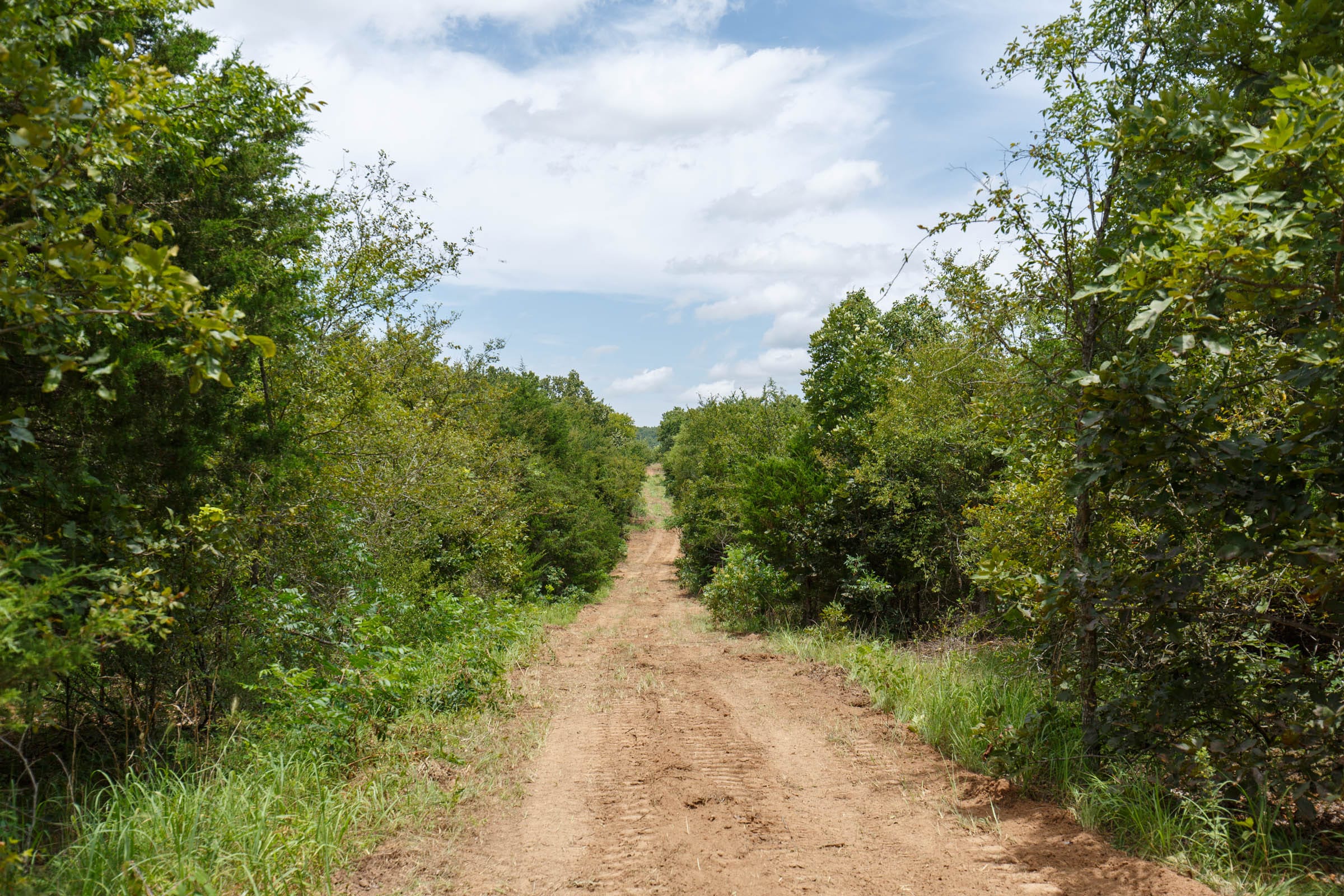Timber Ridge Tract 36 photo 1