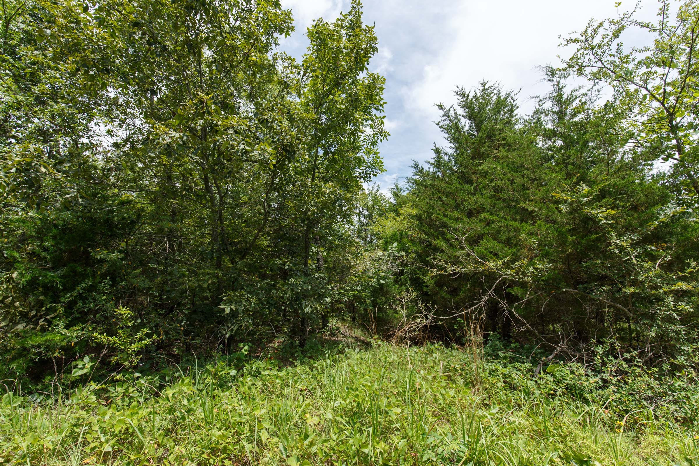 Timber Ridge Tract 36 photo 5