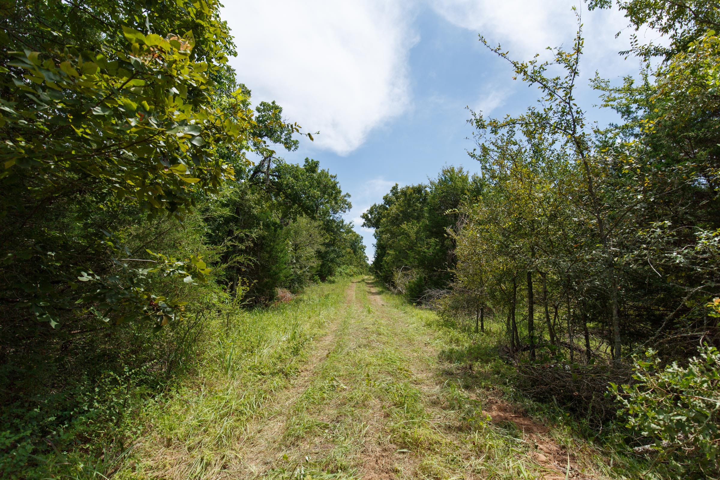 Timber Ridge Tract 36 photo 4