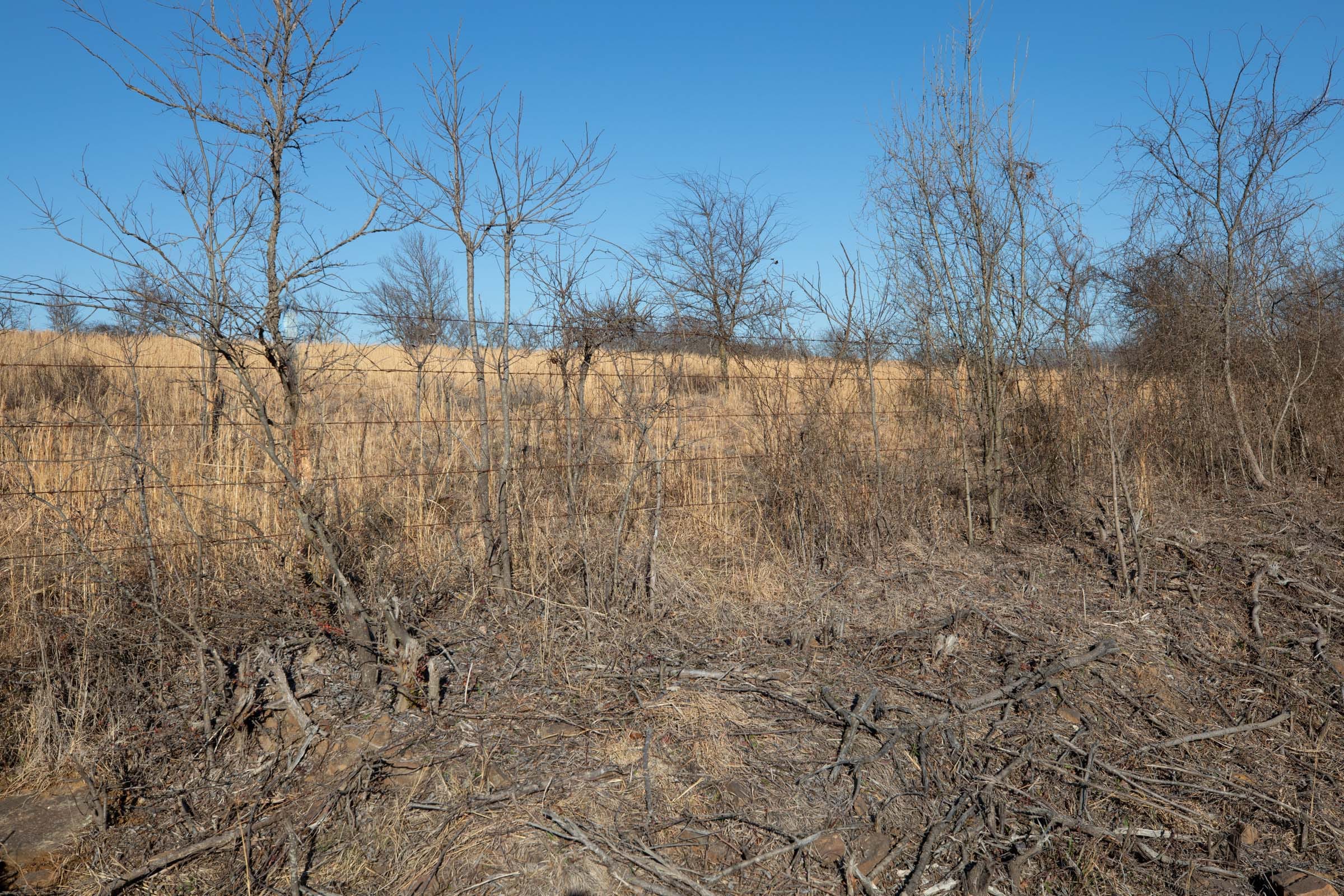 Painted Horse Tract 53 photo 1