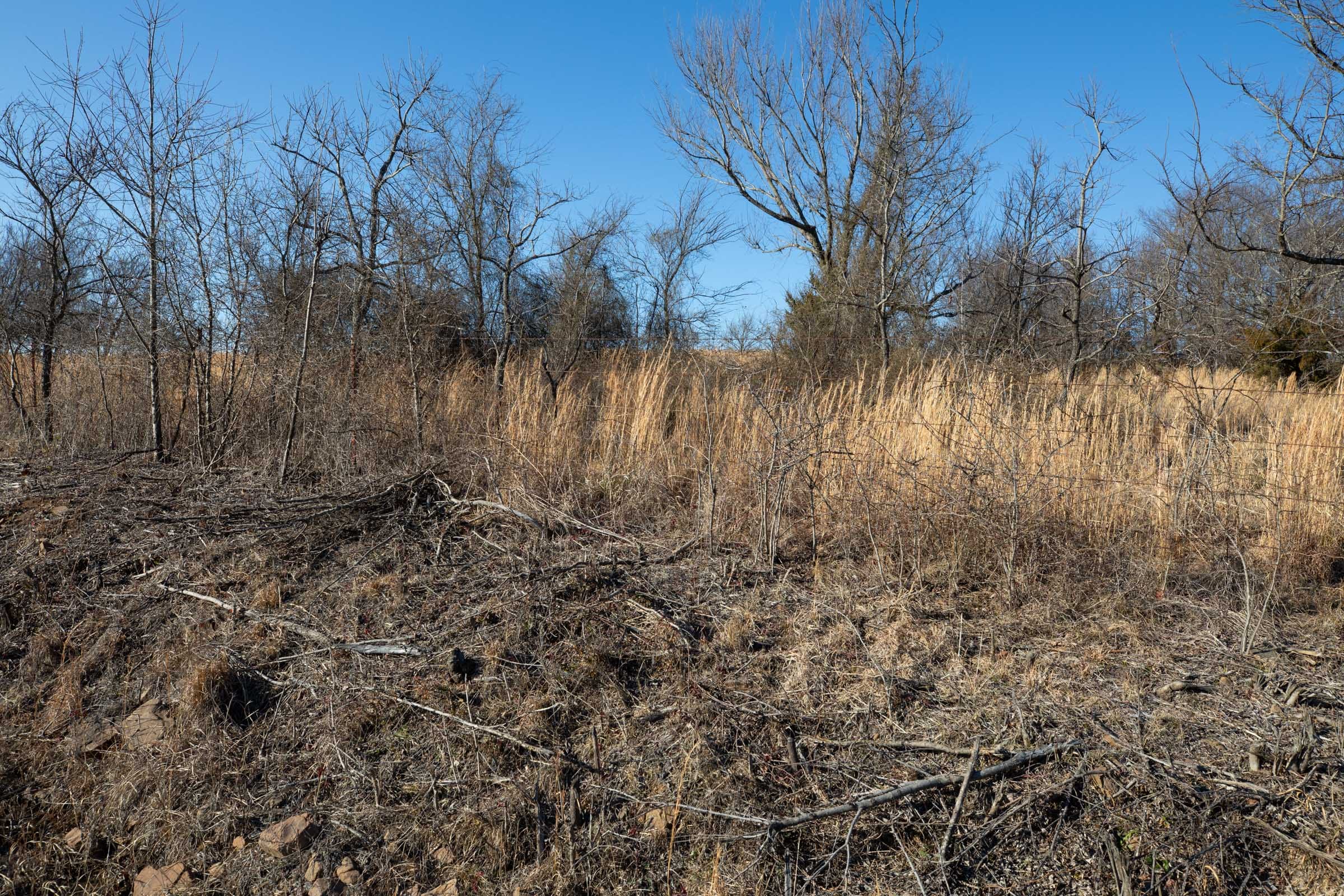 Painted Horse Tract 53 photo 4