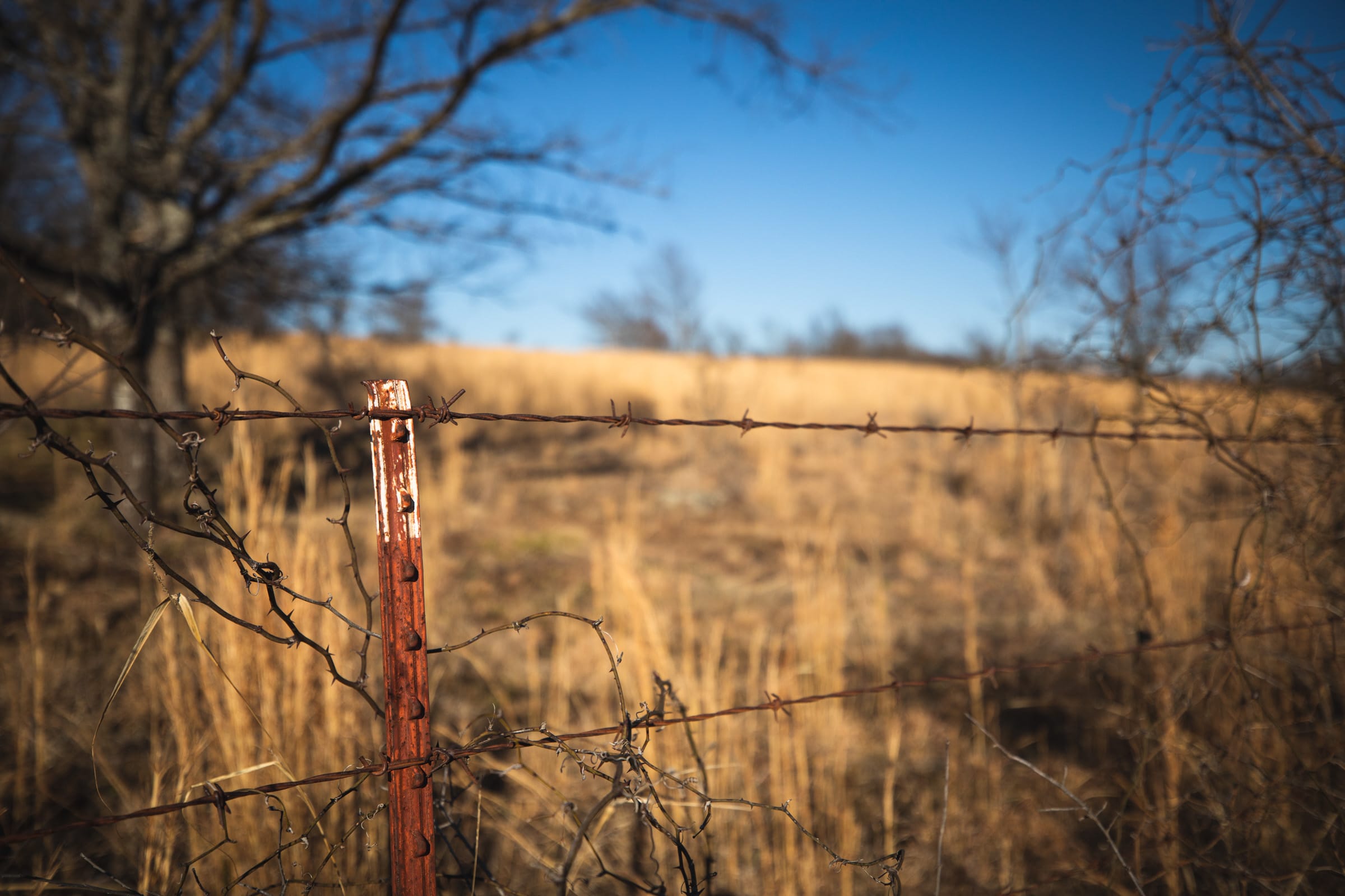 Painted Horse Tract 53 photo 5