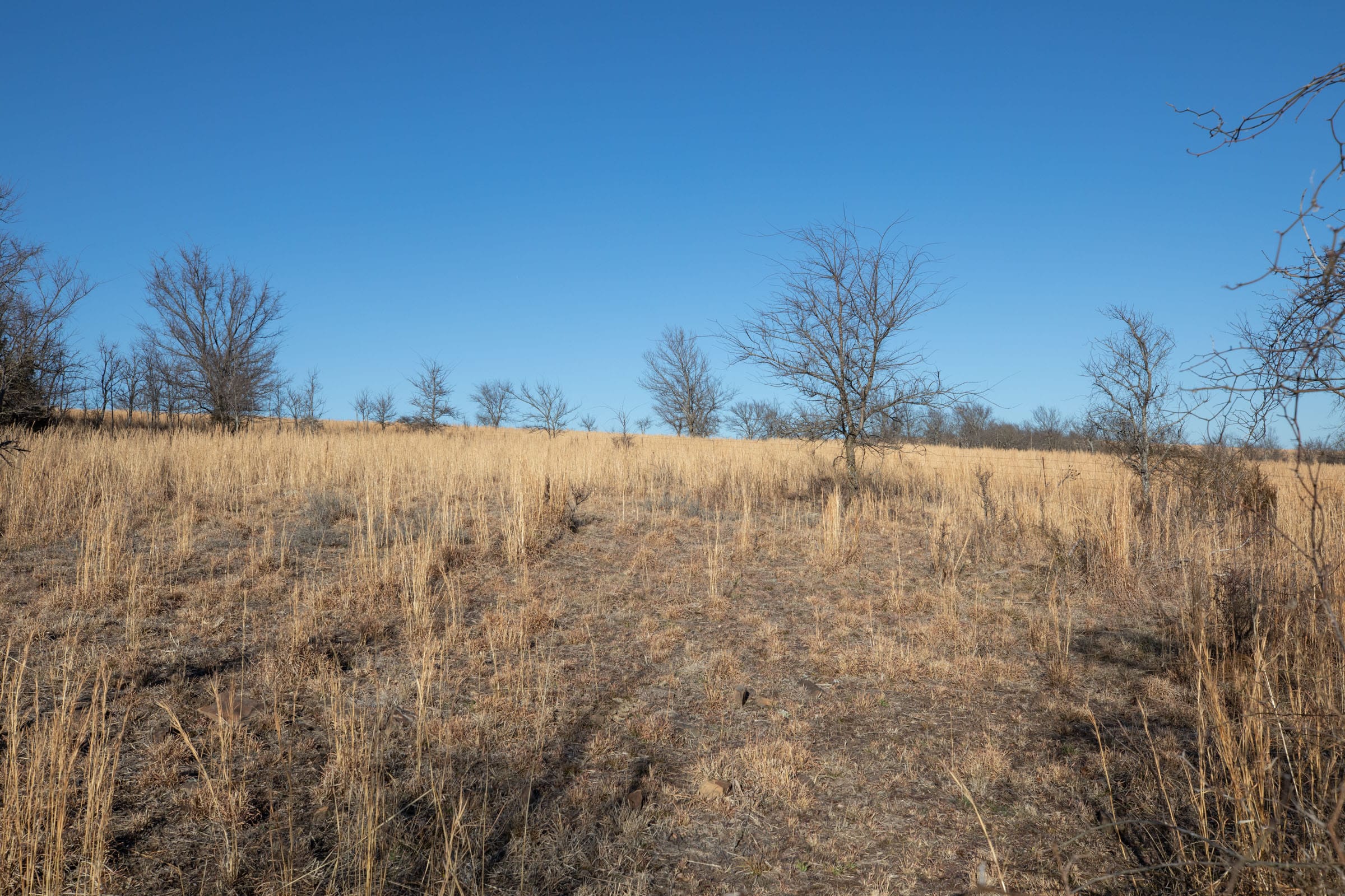 Painted Horse Tract 53 photo 6