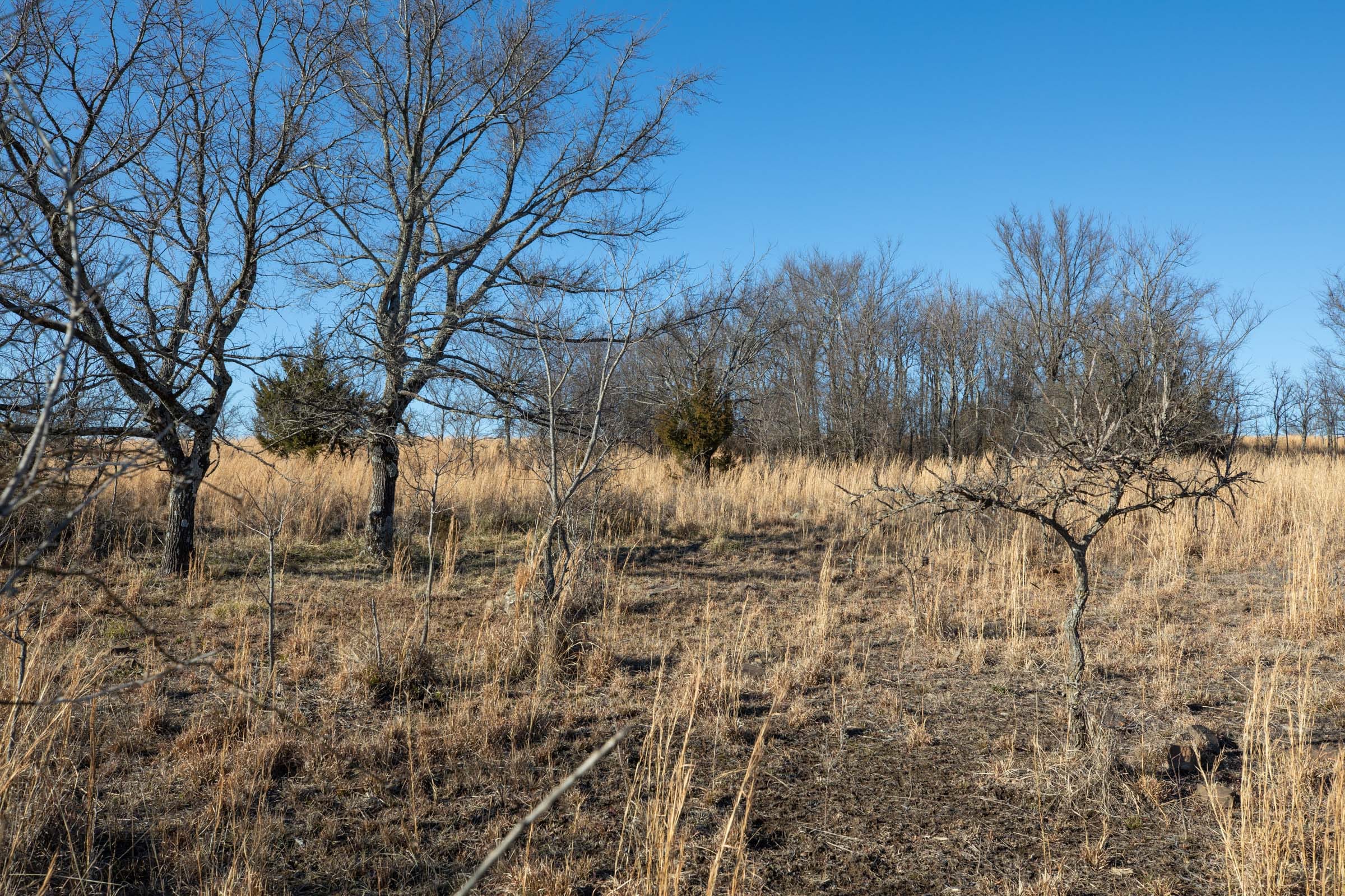 Painted Horse Tract 53 photo 7