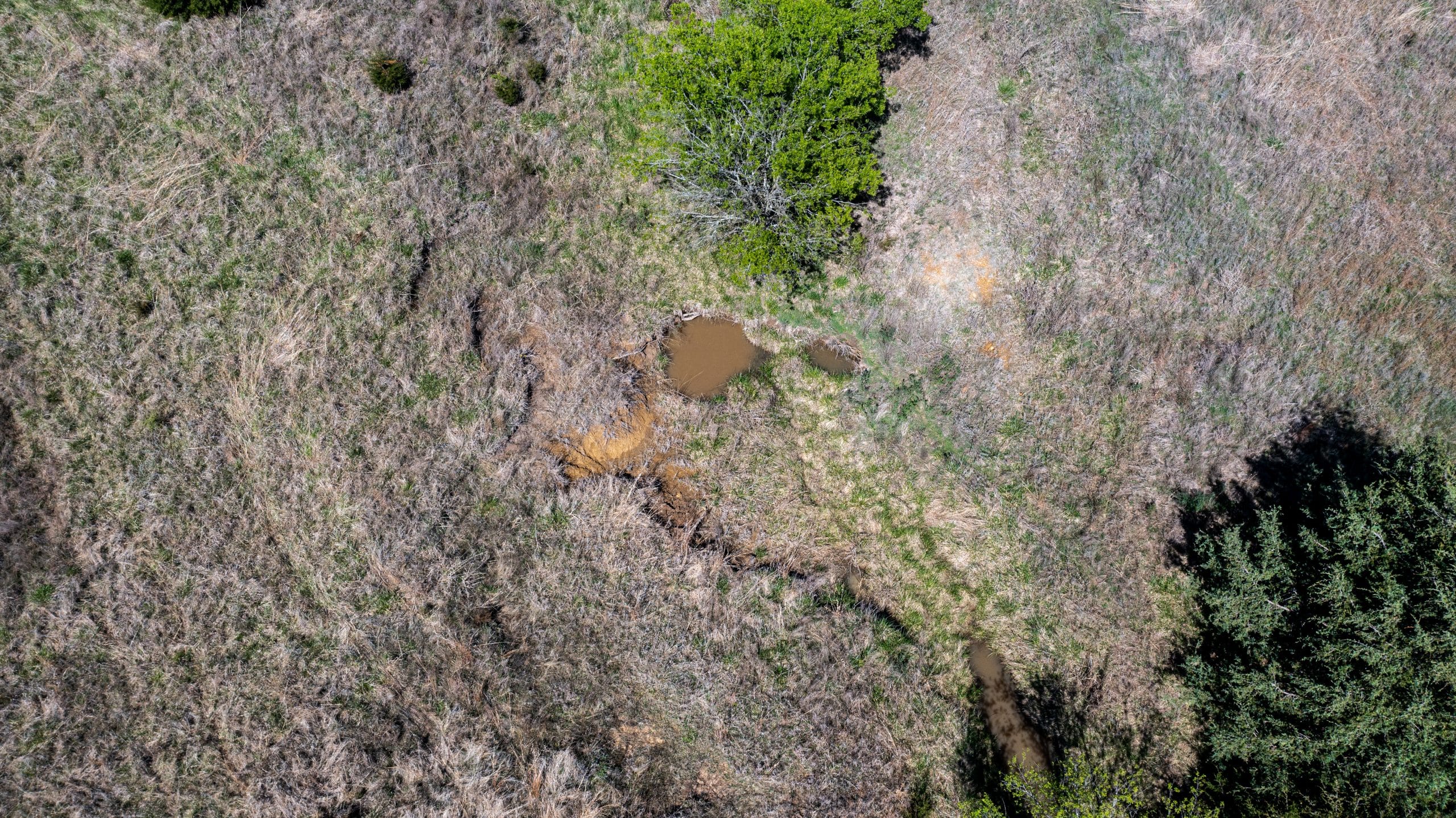 Prairie Grove photo 12