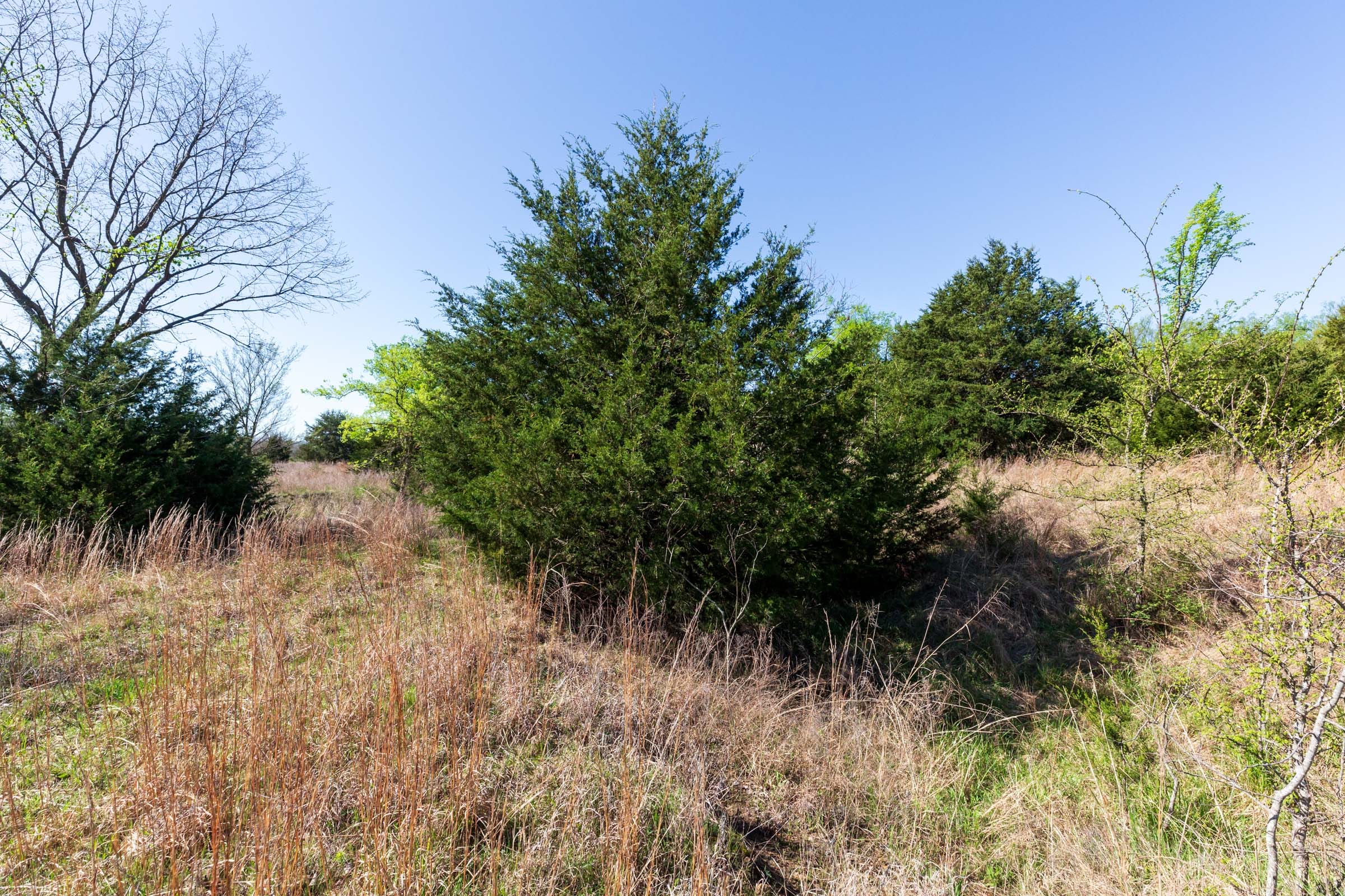 Prairie Grove Tract 9 photo 9