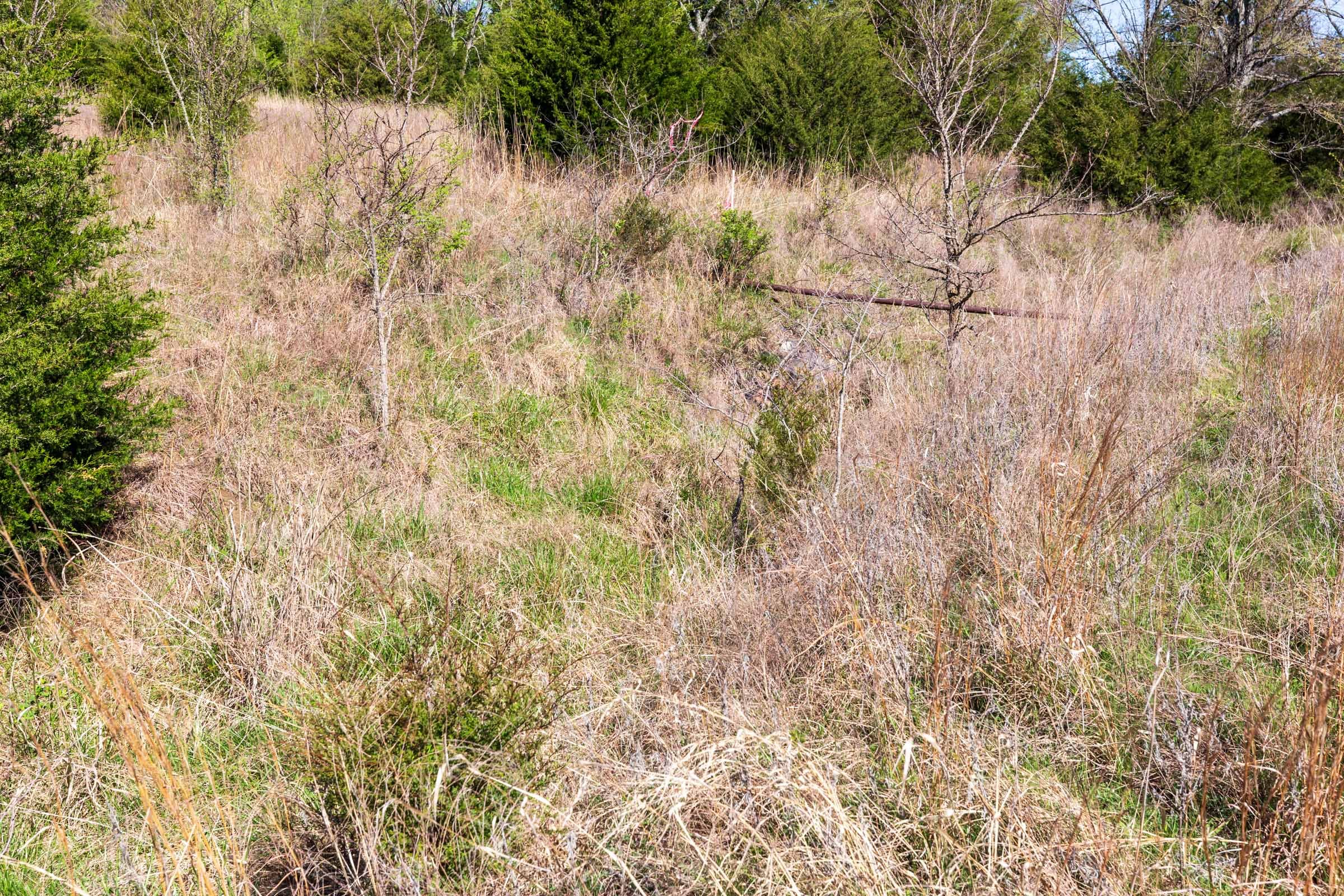Prairie Grove Tract 9 photo 7