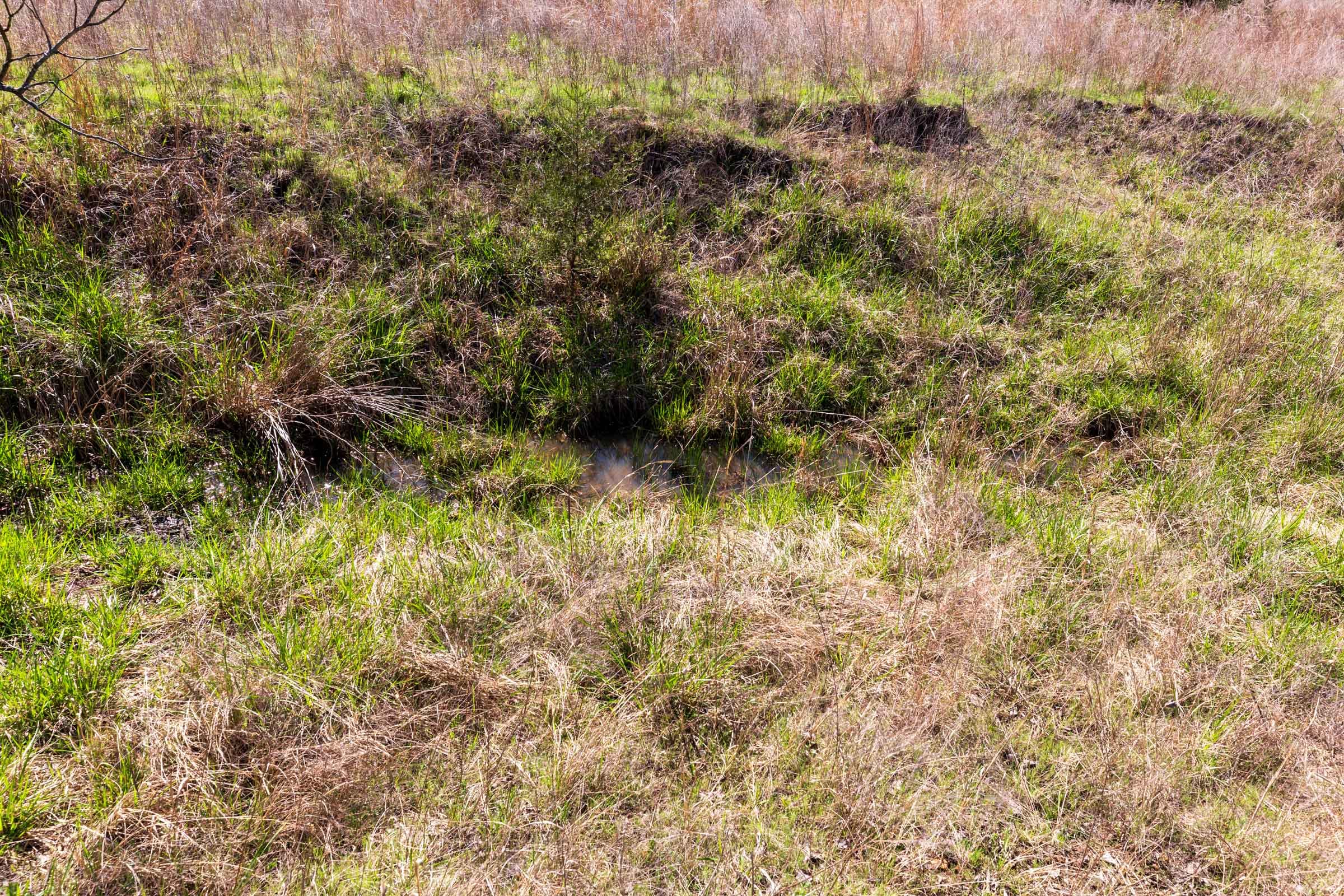Prairie Grove Tract 9 photo 13