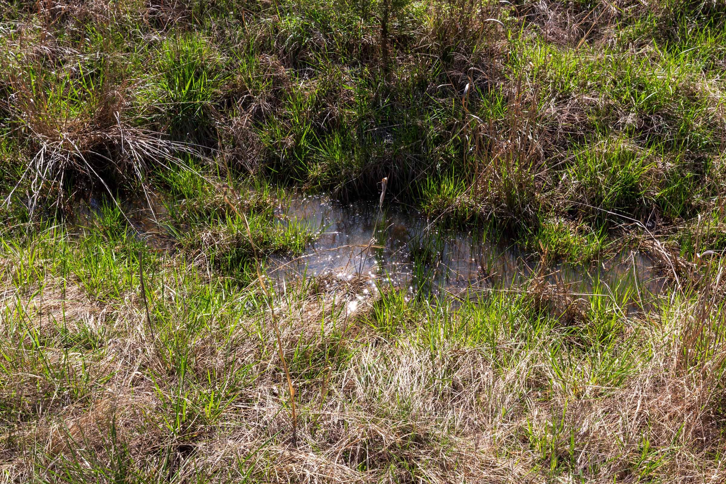 Prairie Grove Tract 9 photo 3